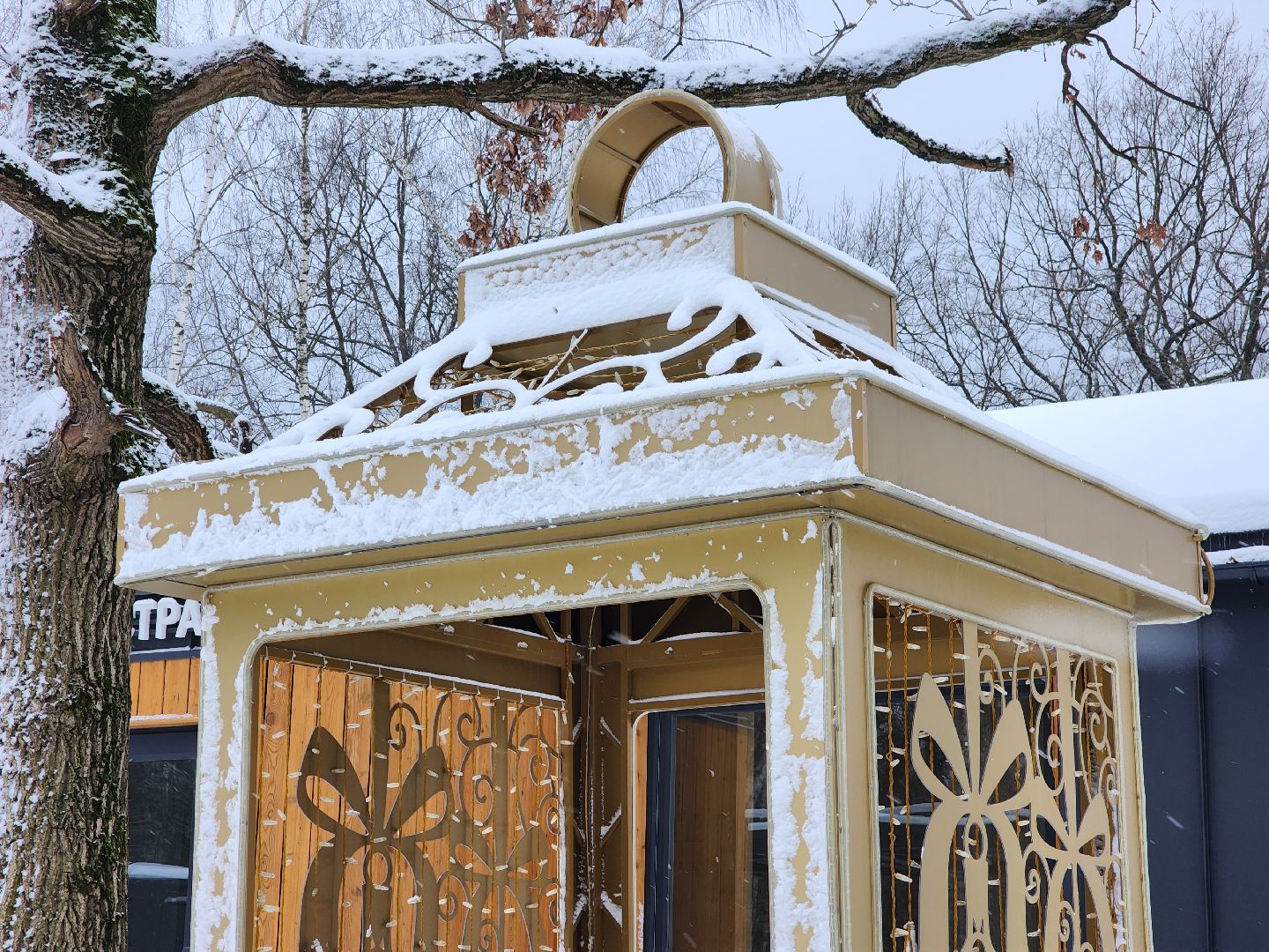 парк, фрязино, украшение, новый год,