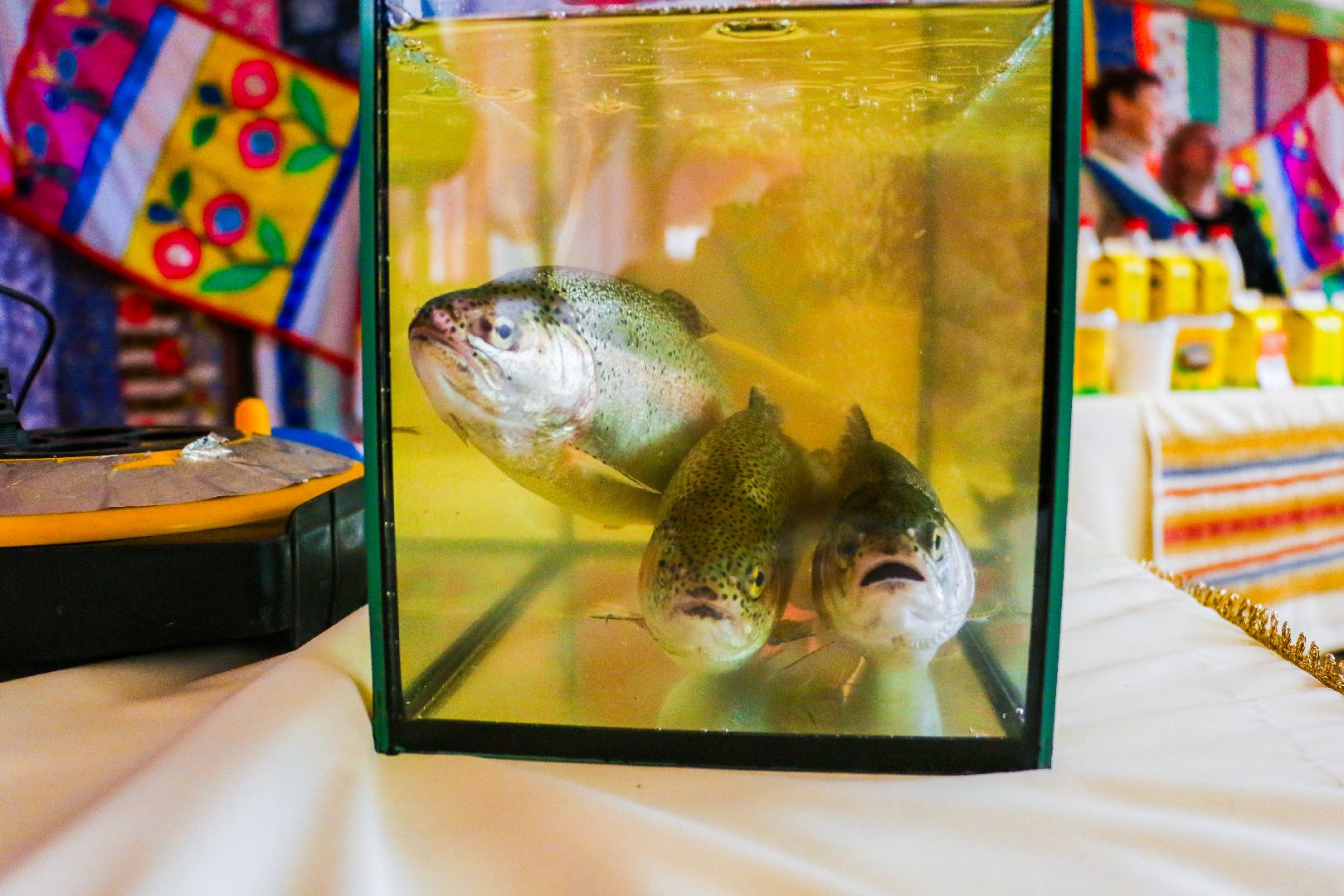 Большая Шатура, аграрии, фермеры, координационный совет,