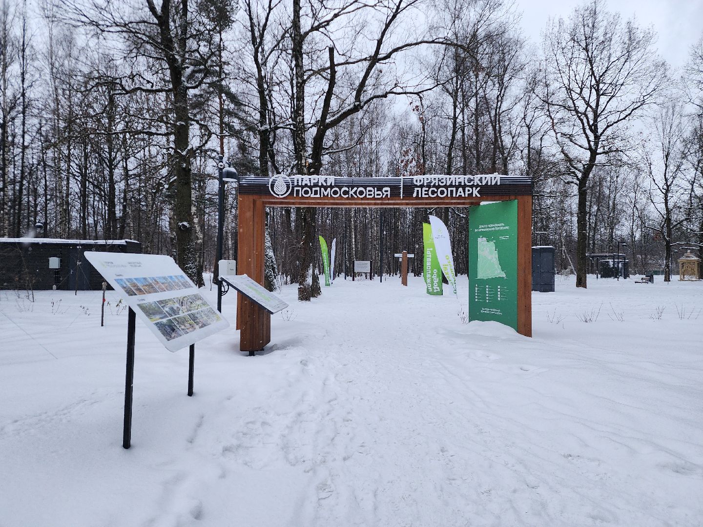 спорт, лыжня,фрязино, лесопарк,