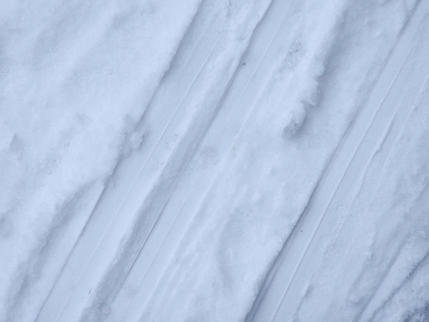 спорт, лыжня,фрязино, лесопарк,