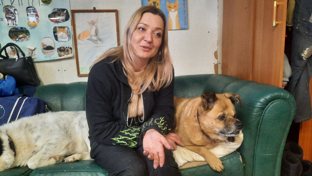 Волонтер, бездомныеживотные, приют, Берегиня, собака, кошка, зооакция, благотворительность, пристройство, Наро-Фоминск, Беригиня