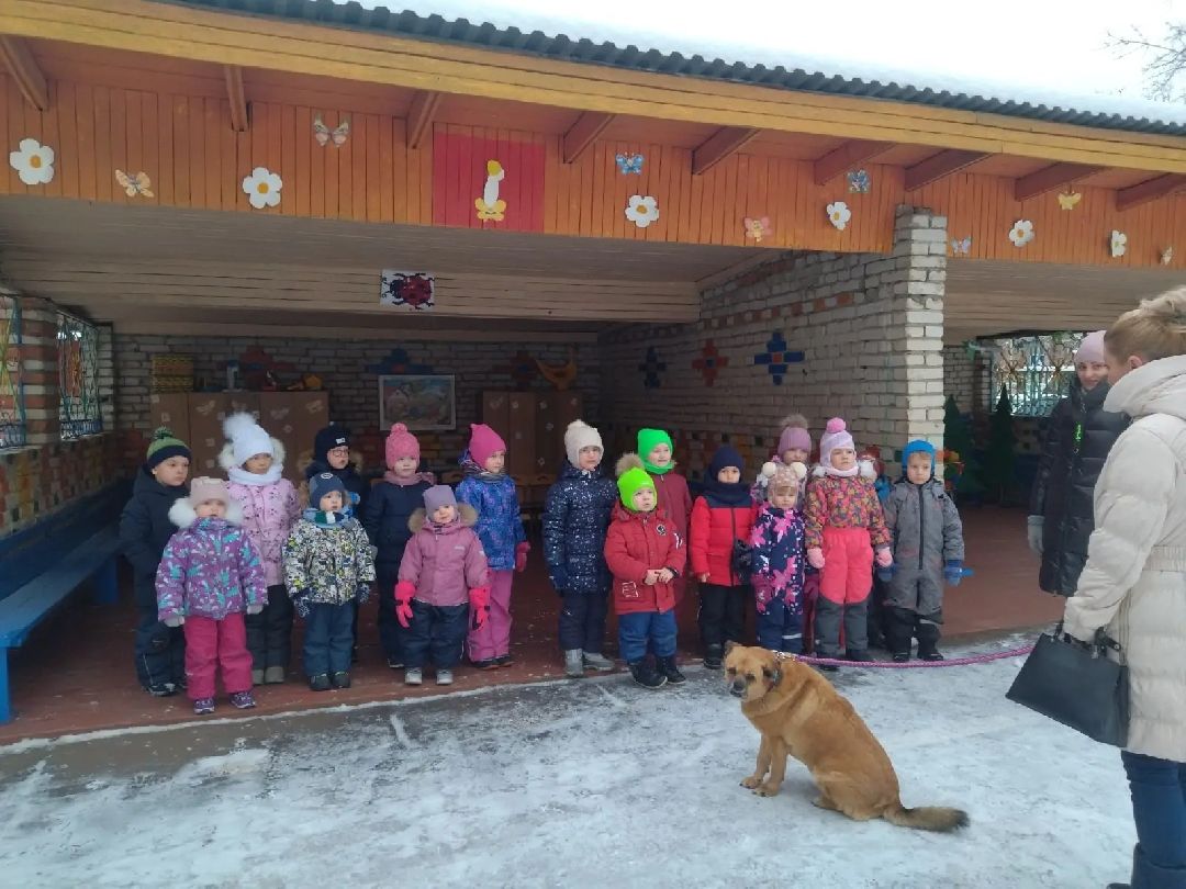 Волонтер, бездомныеживотные, приют, Берегиня, собака, кошка, зооакция, благотворительность, пристройство, Наро-Фоминск, Беригиня