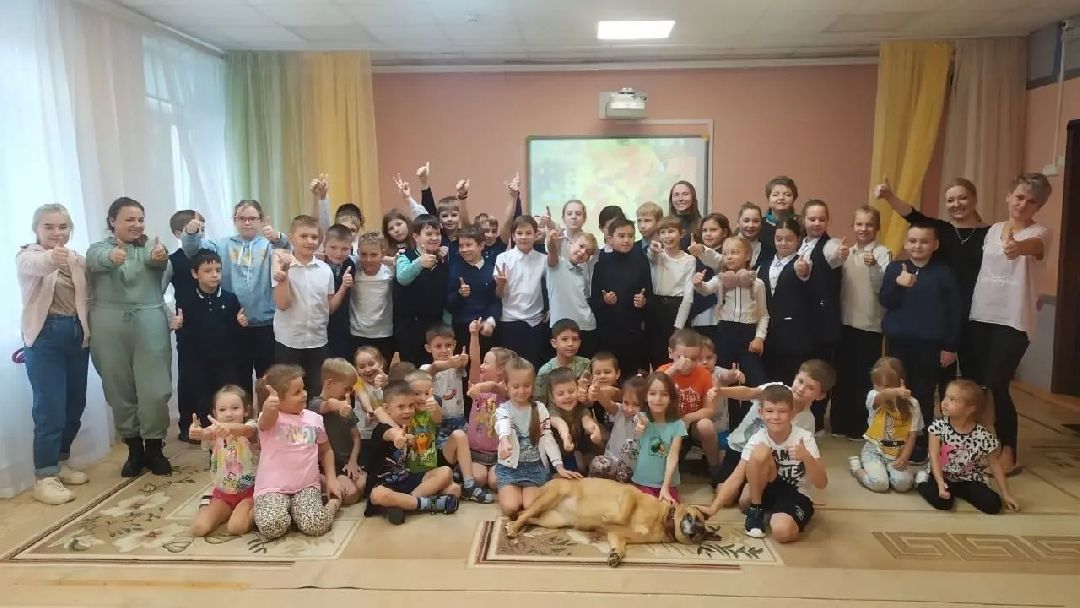 Волонтер, бездомныеживотные, приют, Берегиня, собака, кошка, зооакция, благотворительность, пристройство, Наро-Фоминск, Беригиня