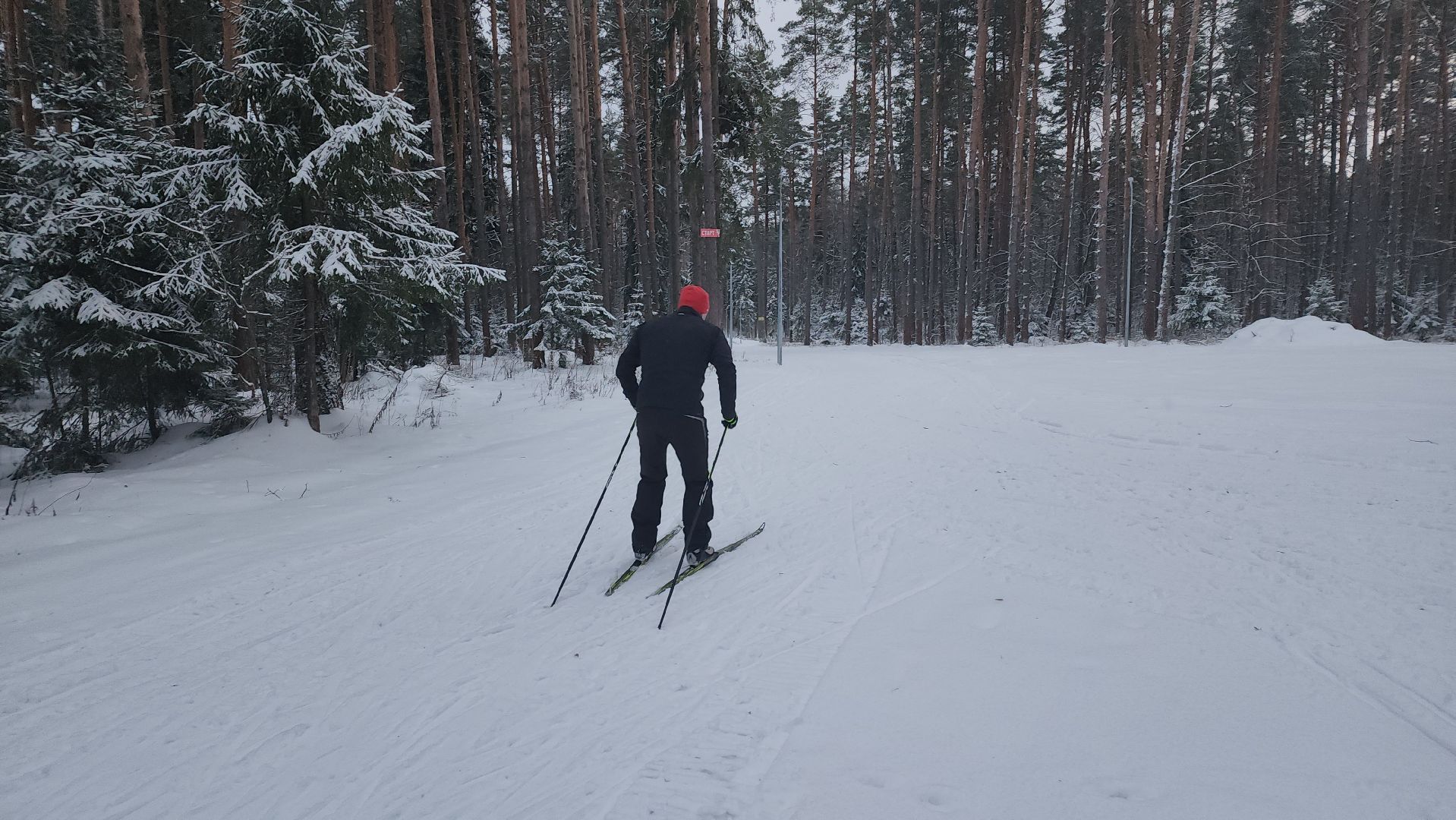 Егорьевск, лыжня, Лыжная база, подмосковье, лидер, Школа лидер, Глава города,