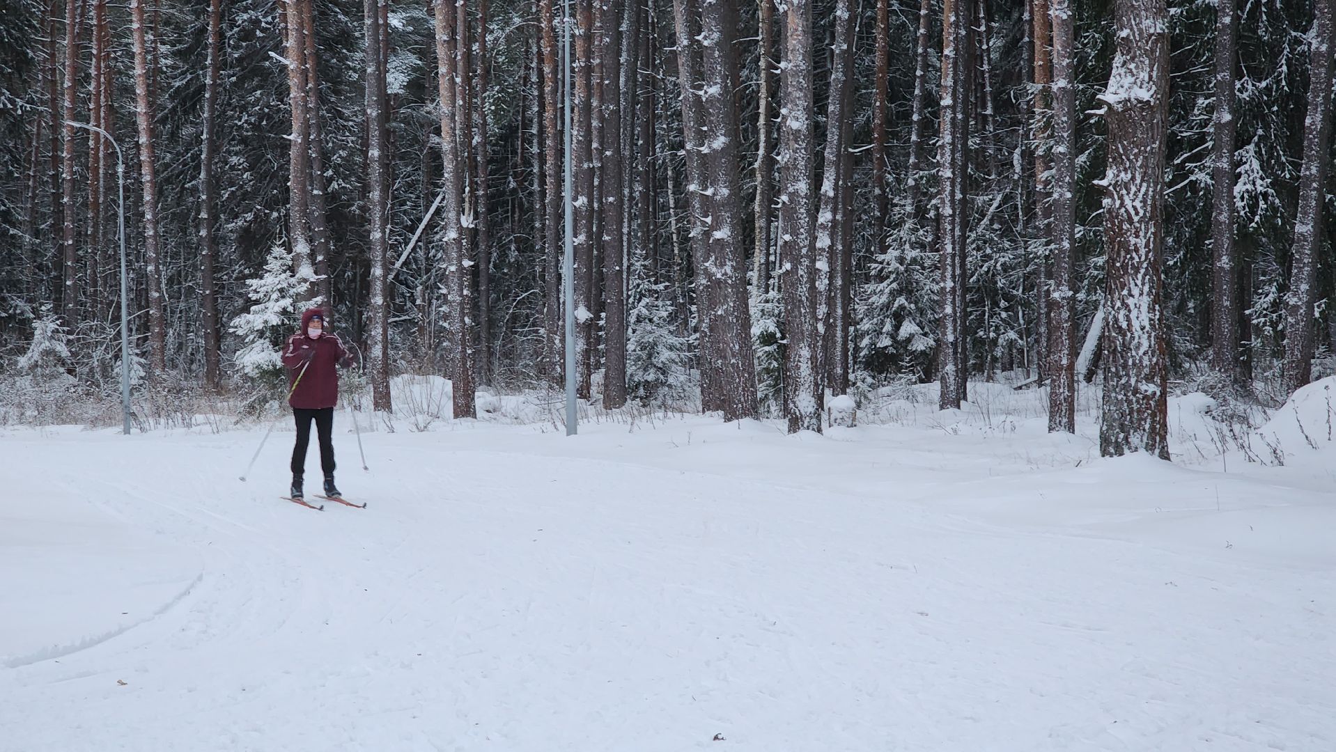 Егорьевск, лыжня, Лыжная база, подмосковье, лидер, Школа лидер, Глава города,