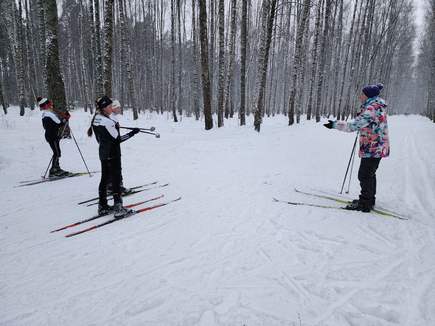 лыжи, пушкинский округ,лыжный сезон, лес, биатлон, спортивная трасса,