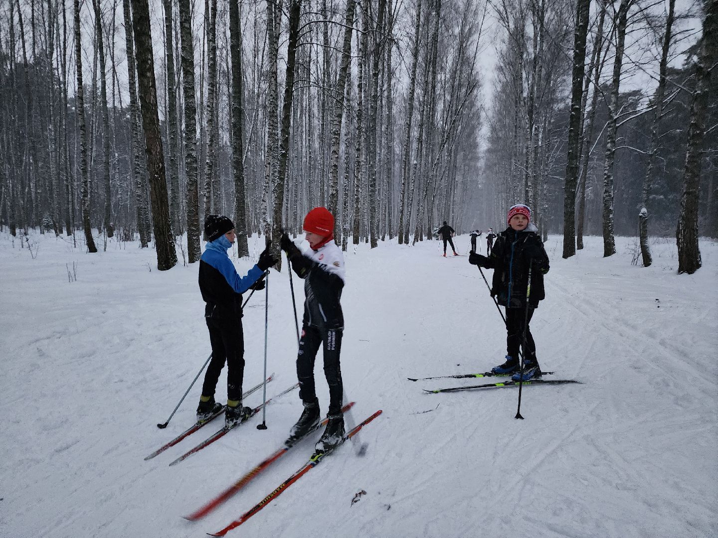 лыжи, пушкинский округ,лыжный сезон, лес, биатлон, спортивная трасса,