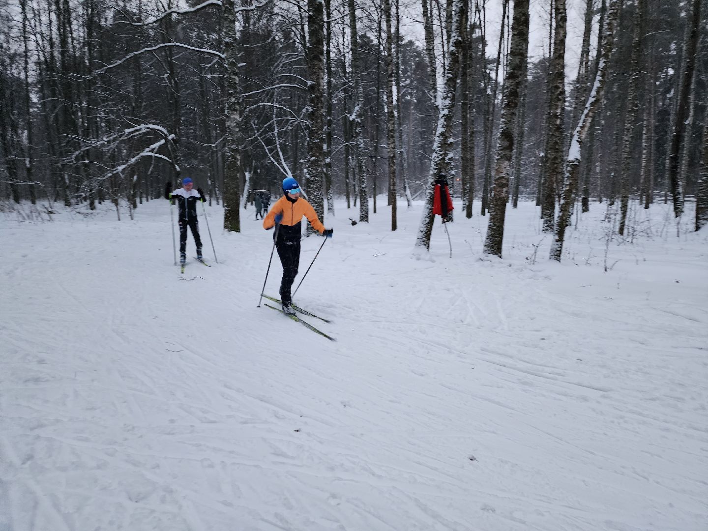 лыжи, пушкинский округ,лыжный сезон, лес, биатлон, спортивная трасса,