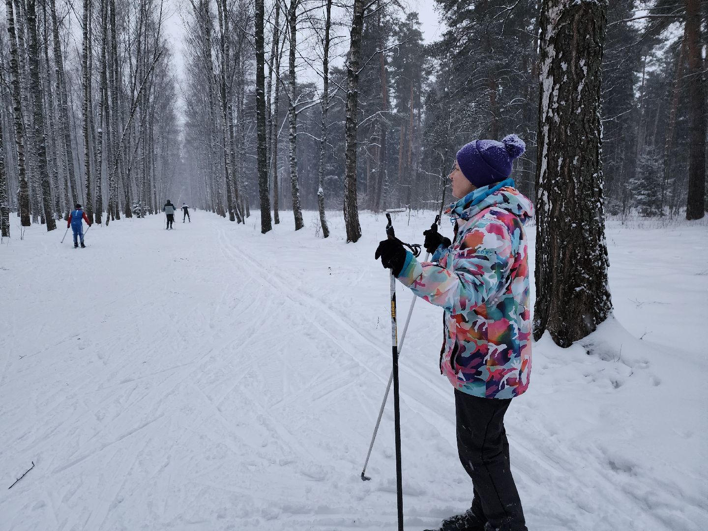 лыжи, пушкинский округ,лыжный сезон, лес, биатлон, спортивная трасса,