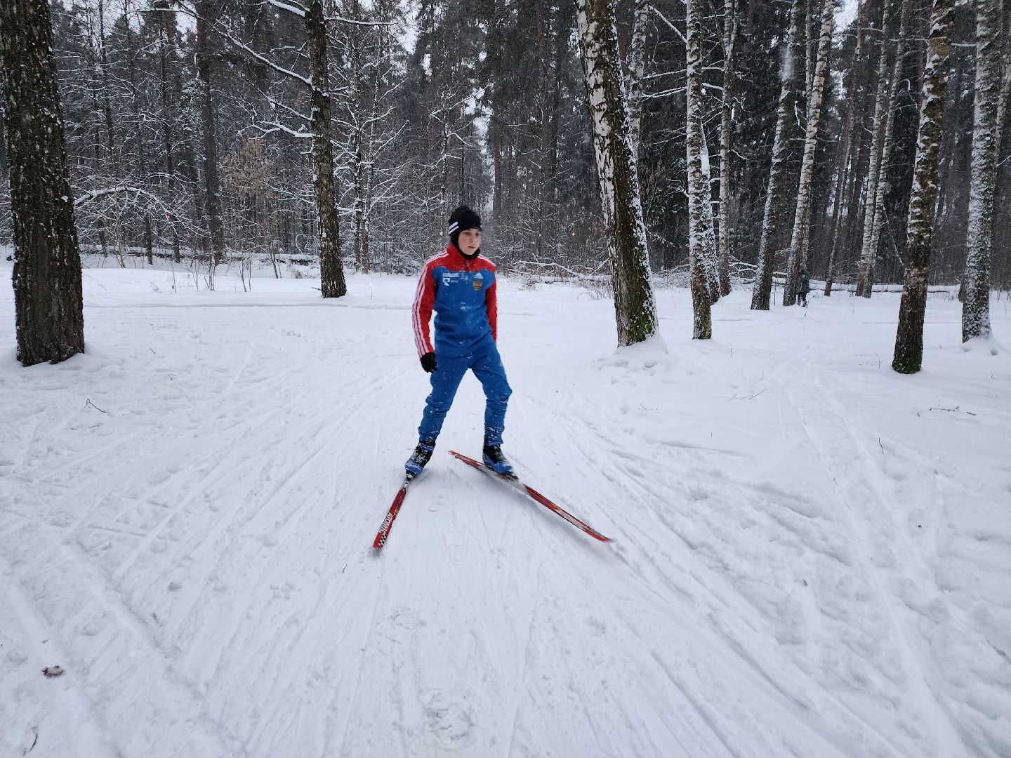 лыжи, пушкинский округ,лыжный сезон, лес, биатлон, спортивная трасса,