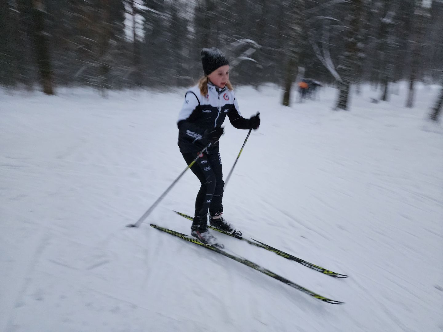 лыжи, пушкинский округ,лыжный сезон, лес, биатлон, спортивная трасса,