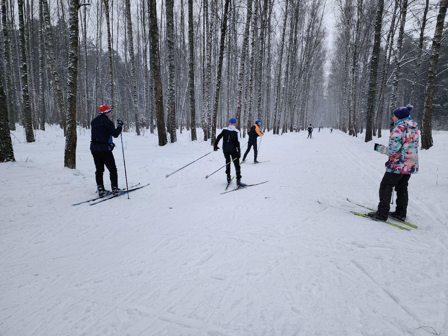 лыжи, пушкинский округ,лыжный сезон, лес, биатлон, спортивная трасса,