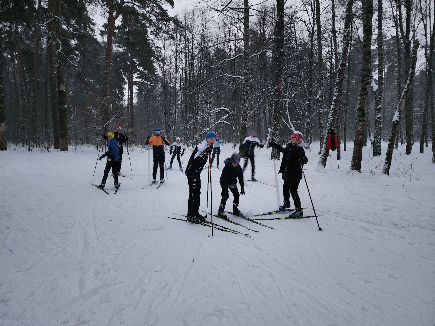 лыжи, пушкинский округ,лыжный сезон, лес, биатлон, спортивная трасса,