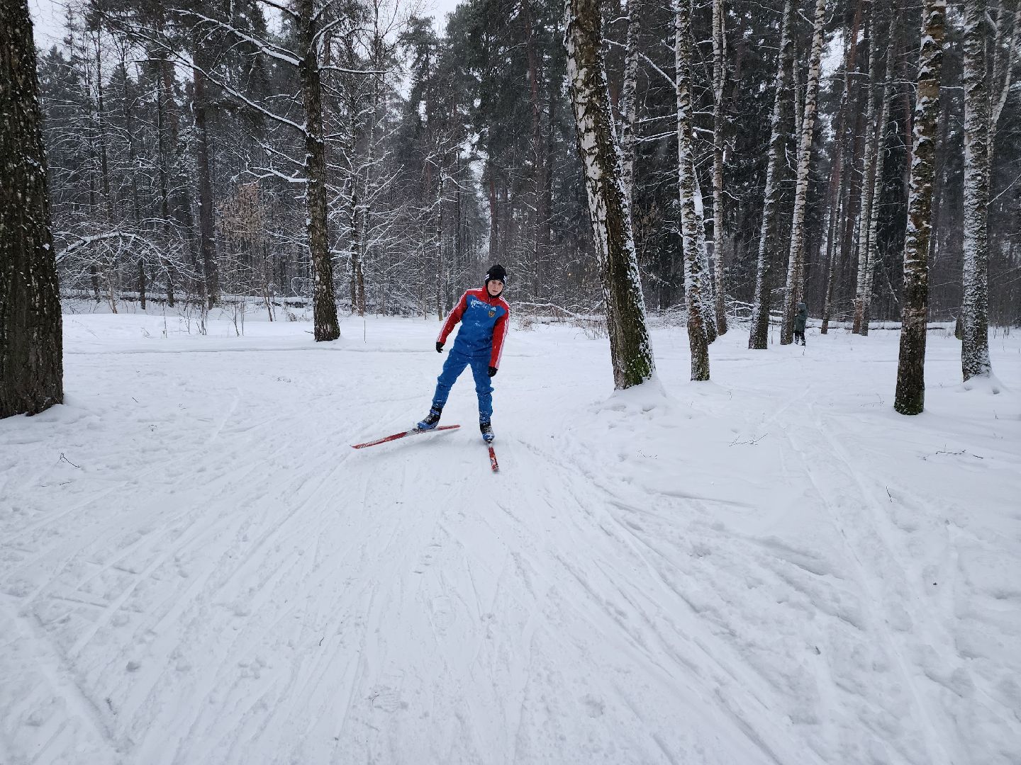 лыжи, пушкинский округ,лыжный сезон, лес, биатлон, спортивная трасса,