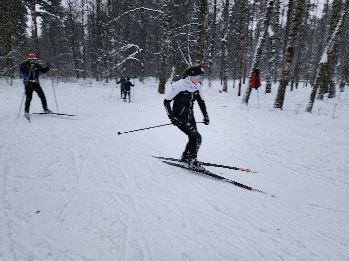 лыжи, пушкинский округ,лыжный сезон, лес, биатлон, спортивная трасса,