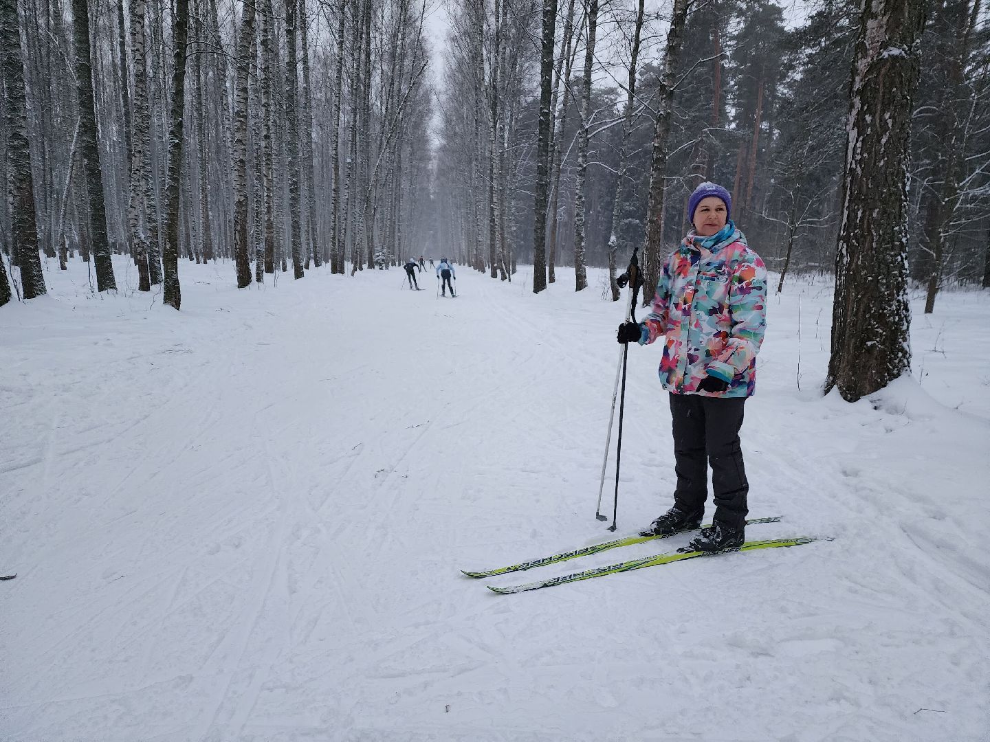 лыжи, пушкинский округ,лыжный сезон, лес, биатлон, спортивная трасса,