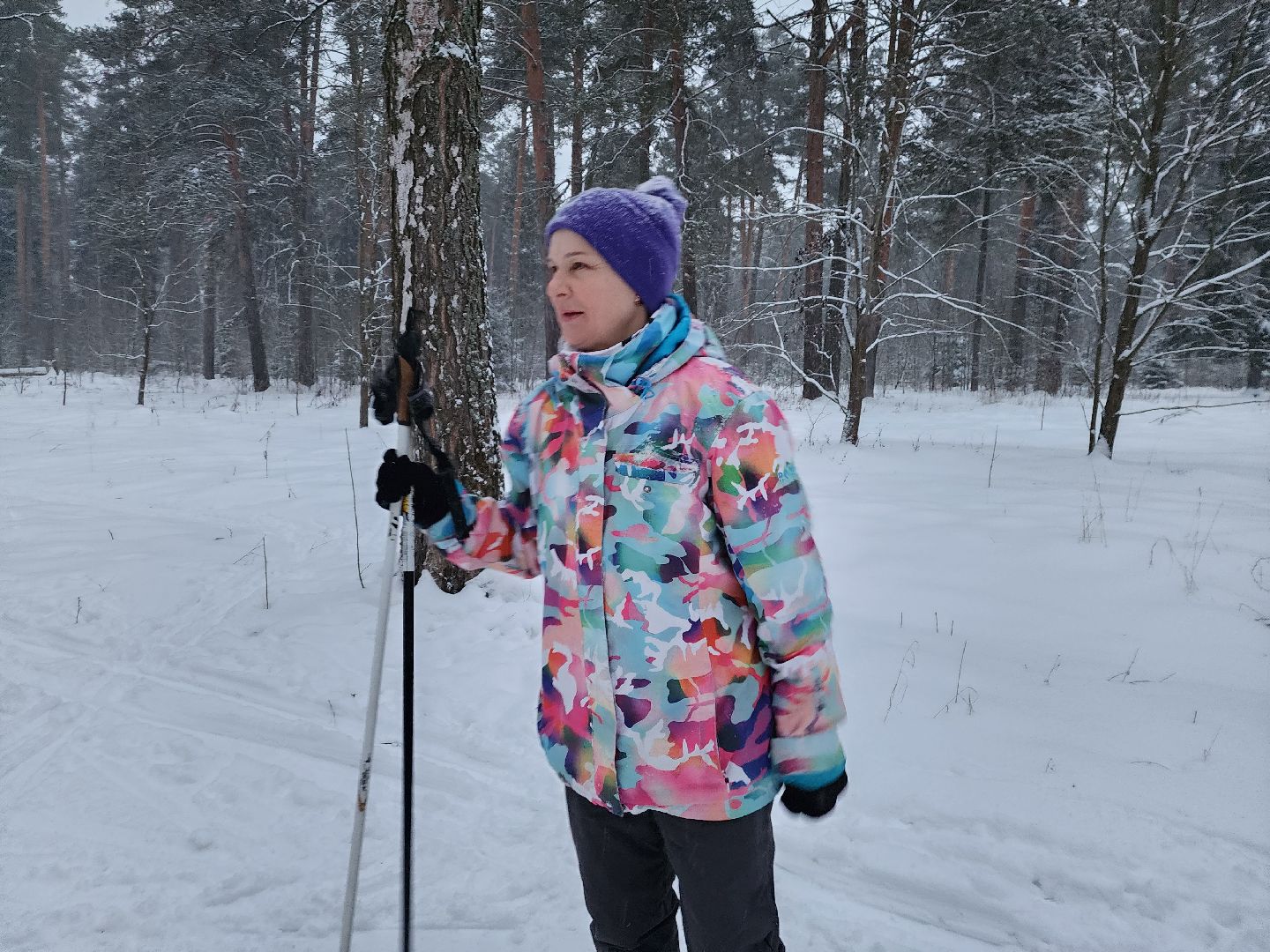 лыжи, пушкинский округ,лыжный сезон, лес, биатлон, спортивная трасса,