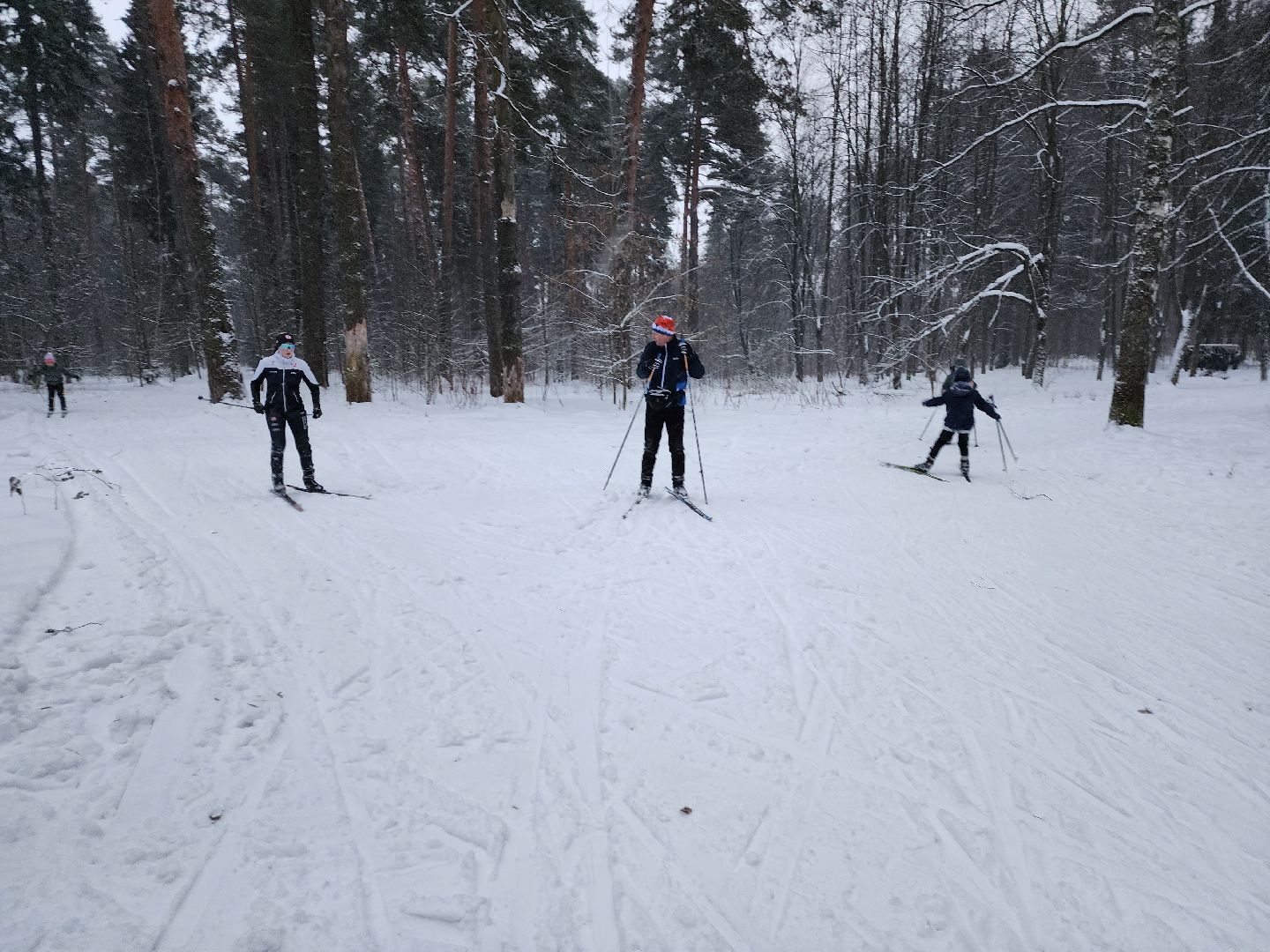лыжи, пушкинский округ,лыжный сезон, лес, биатлон, спортивная трасса,