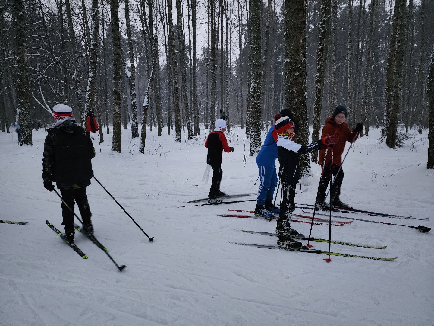 лыжи, пушкинский округ,лыжный сезон, лес, биатлон, спортивная трасса,