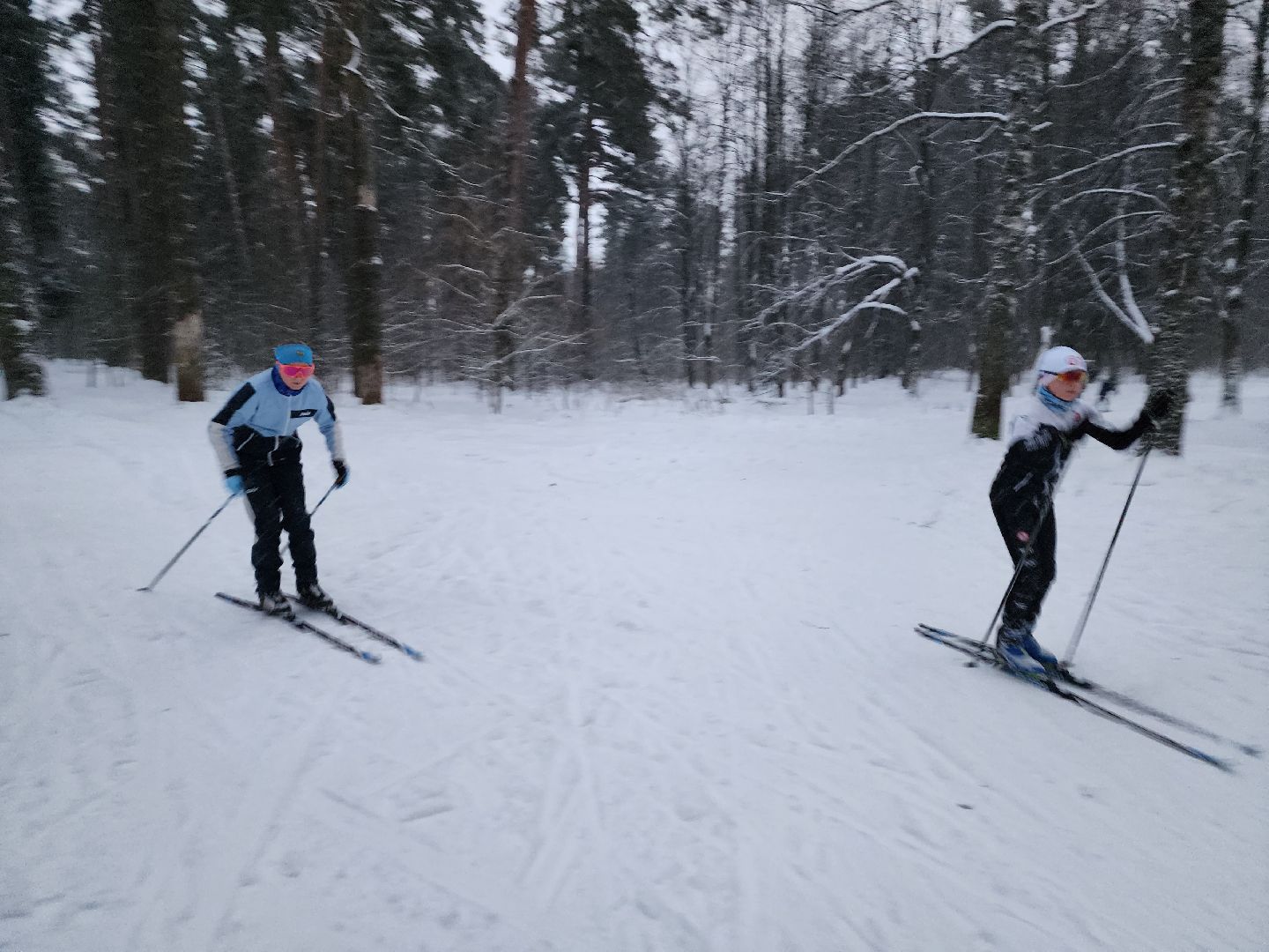 лыжи, пушкинский округ,лыжный сезон, лес, биатлон, спортивная трасса,