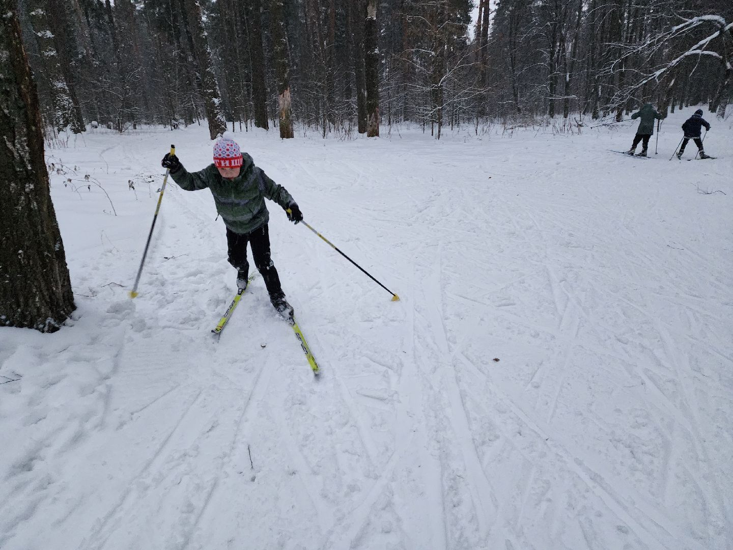 лыжи, пушкинский округ,лыжный сезон, лес, биатлон, спортивная трасса,