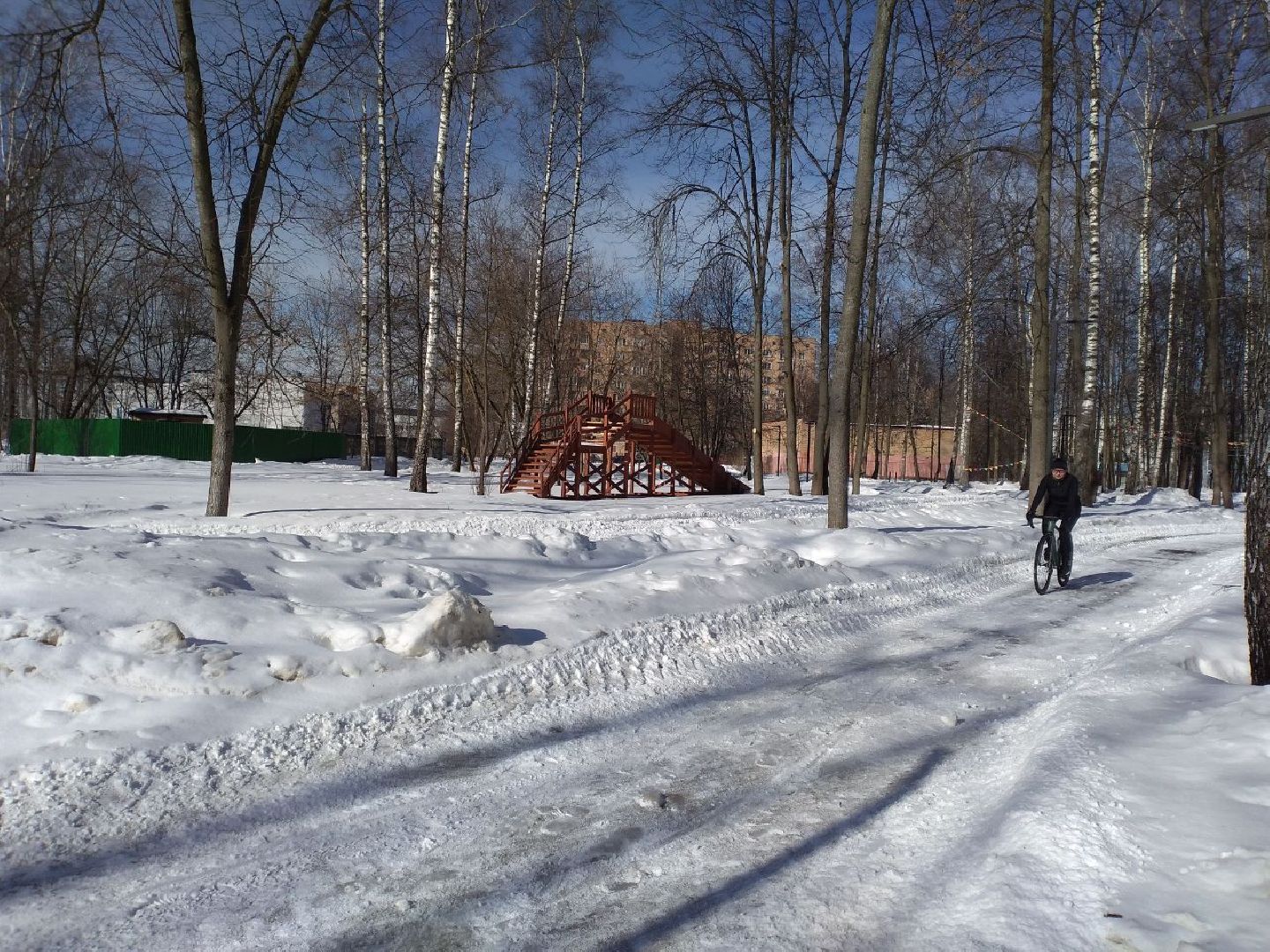 зимний сезон, новогодние елки, Лосино-Петровский,
