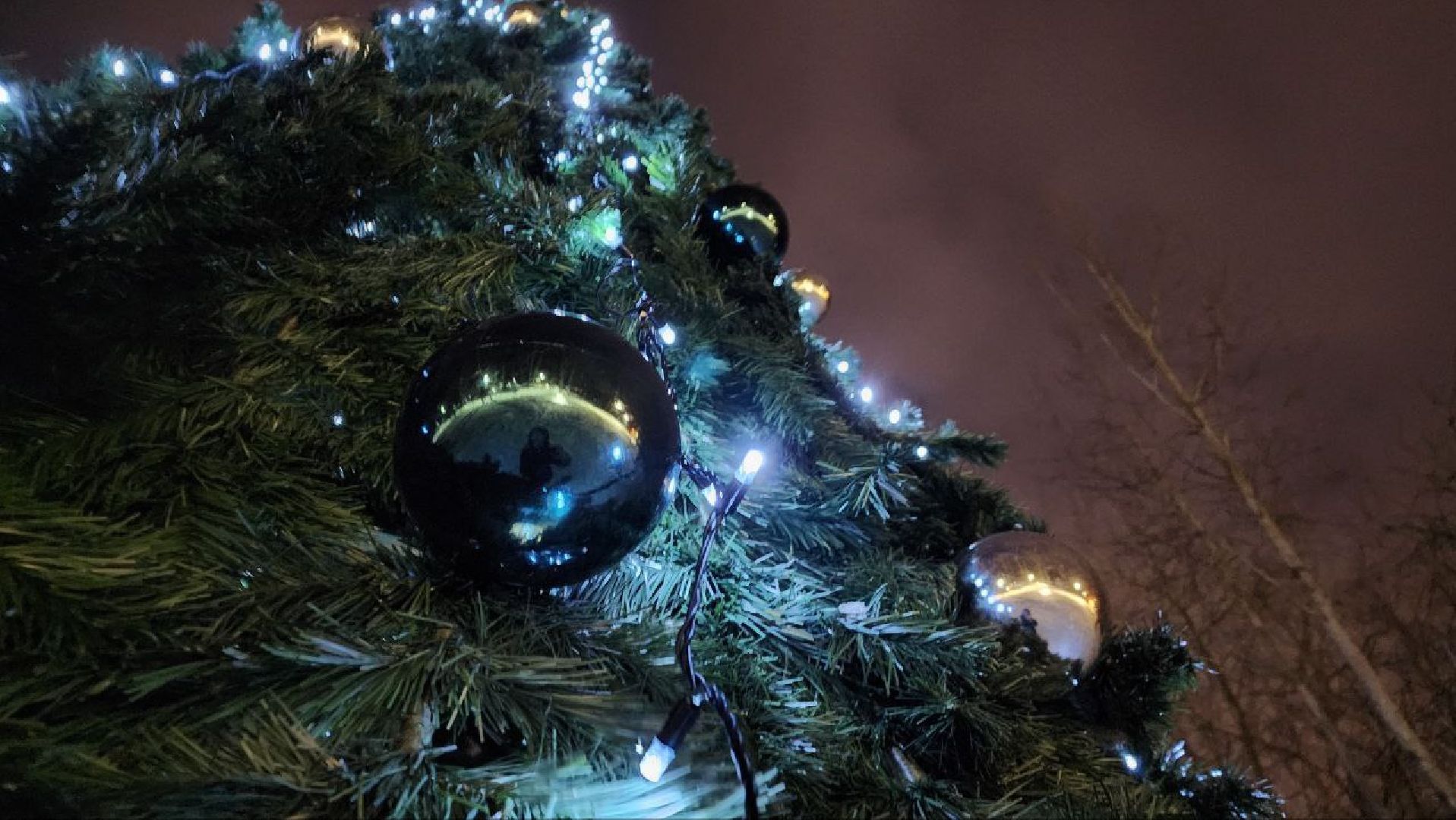 зимний сезон, новогодние елки, Лосино-Петровский,