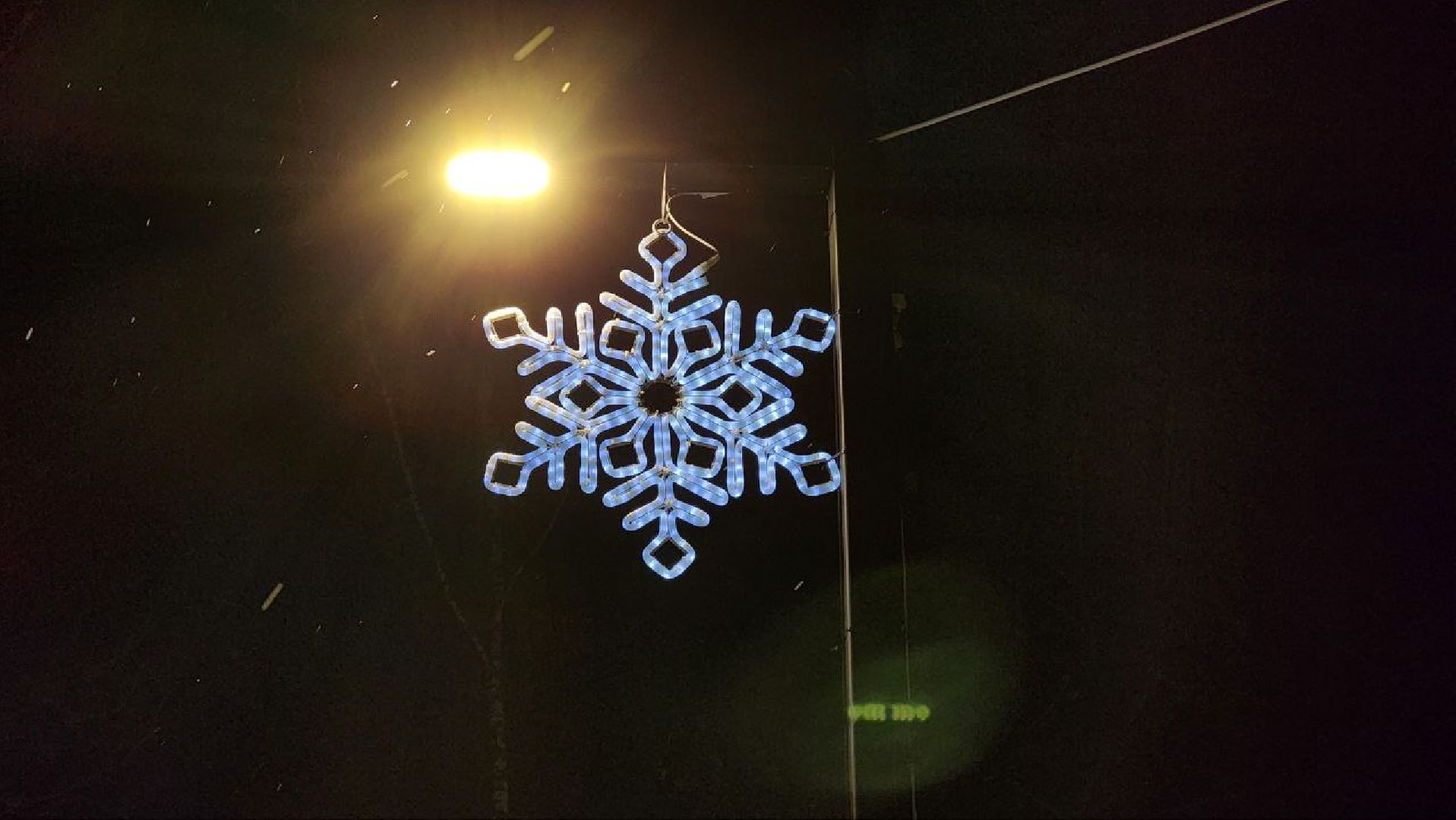 зимний сезон, новогодние елки, Лосино-Петровский,