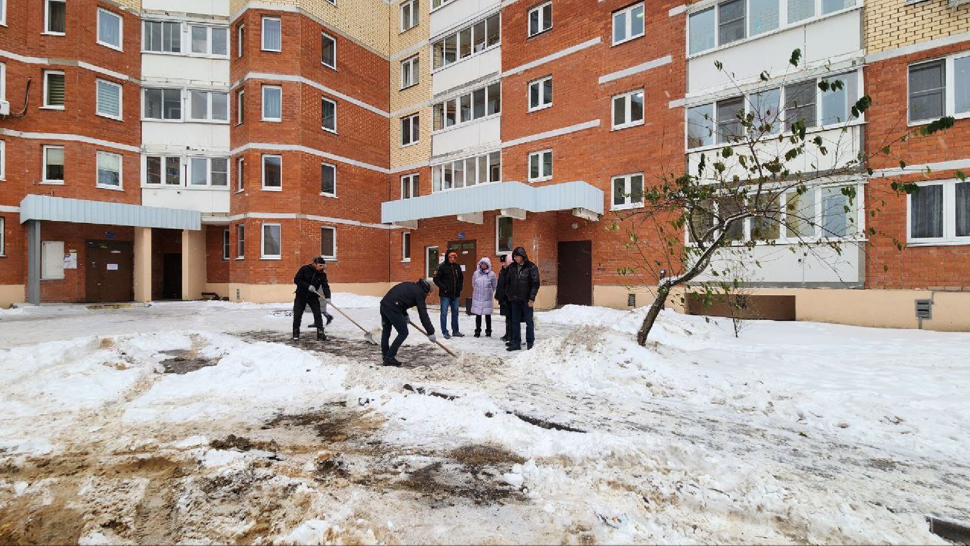 Дмитров, ГУСТ, Минблаго,