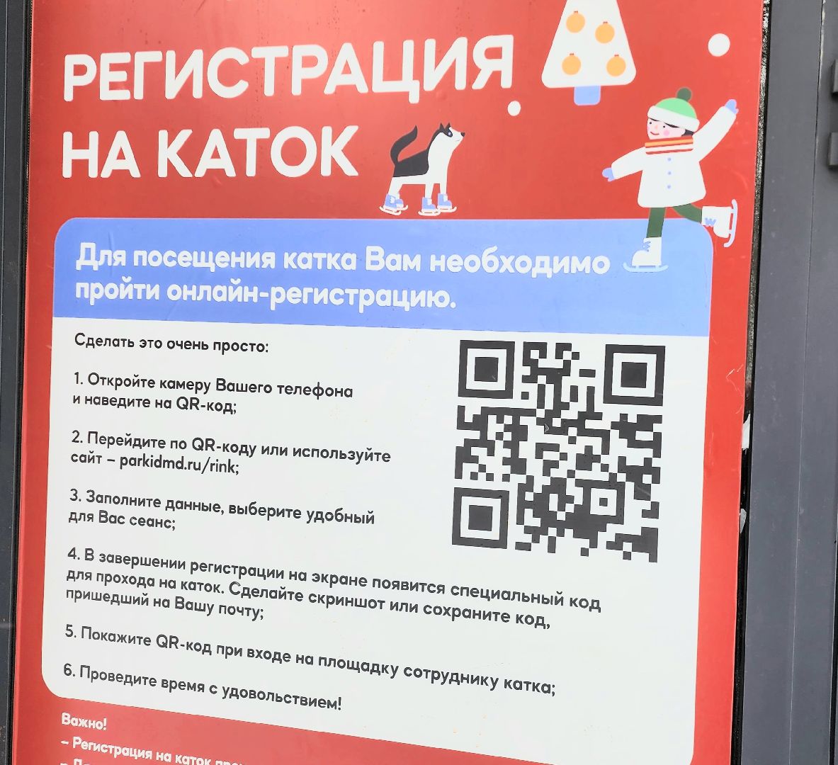 каток, каток в парке, домодедово, подмосковье, открытие катка, зима в подмосковье, активное долголетие, парк Елочки, коньки, регистрация, бесплатный каток,
