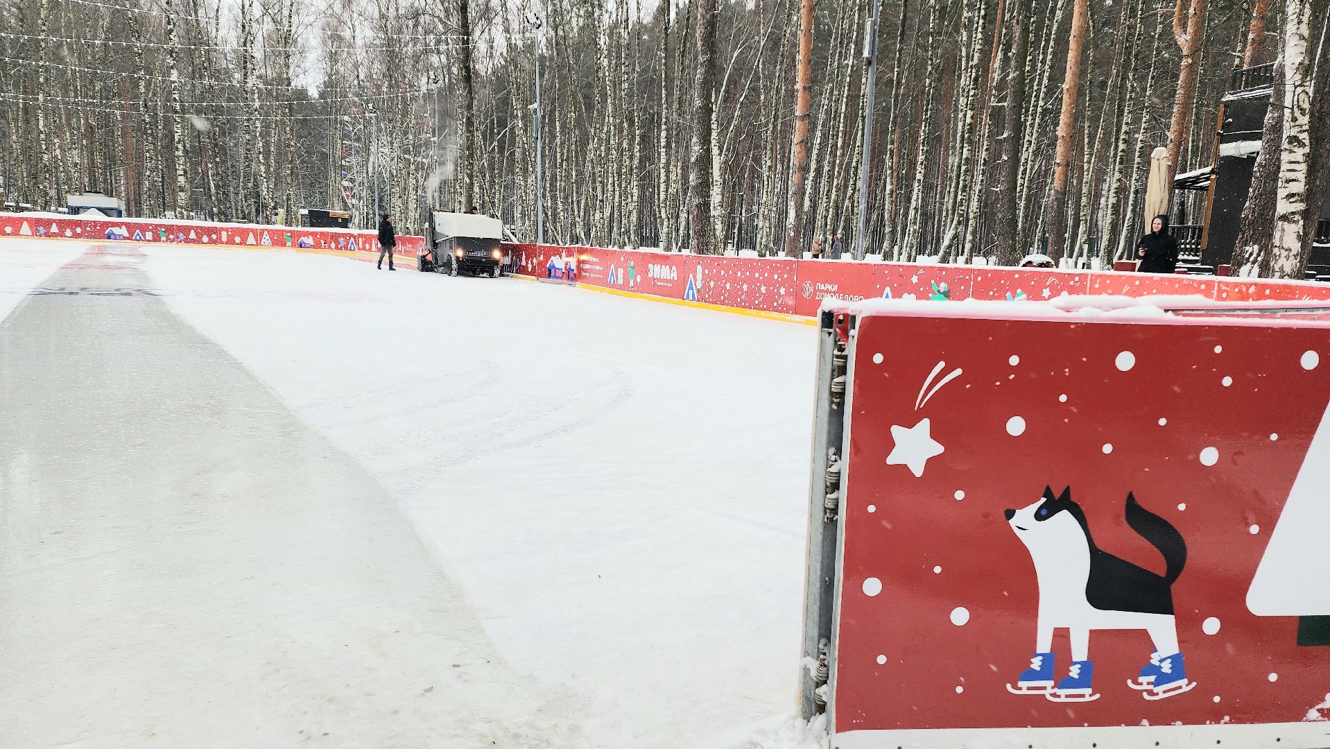 каток, каток в парке, домодедово, подмосковье, открытие катка, зима в подмосковье, активное долголетие, парк Елочки, коньки, регистрация, бесплатный каток,