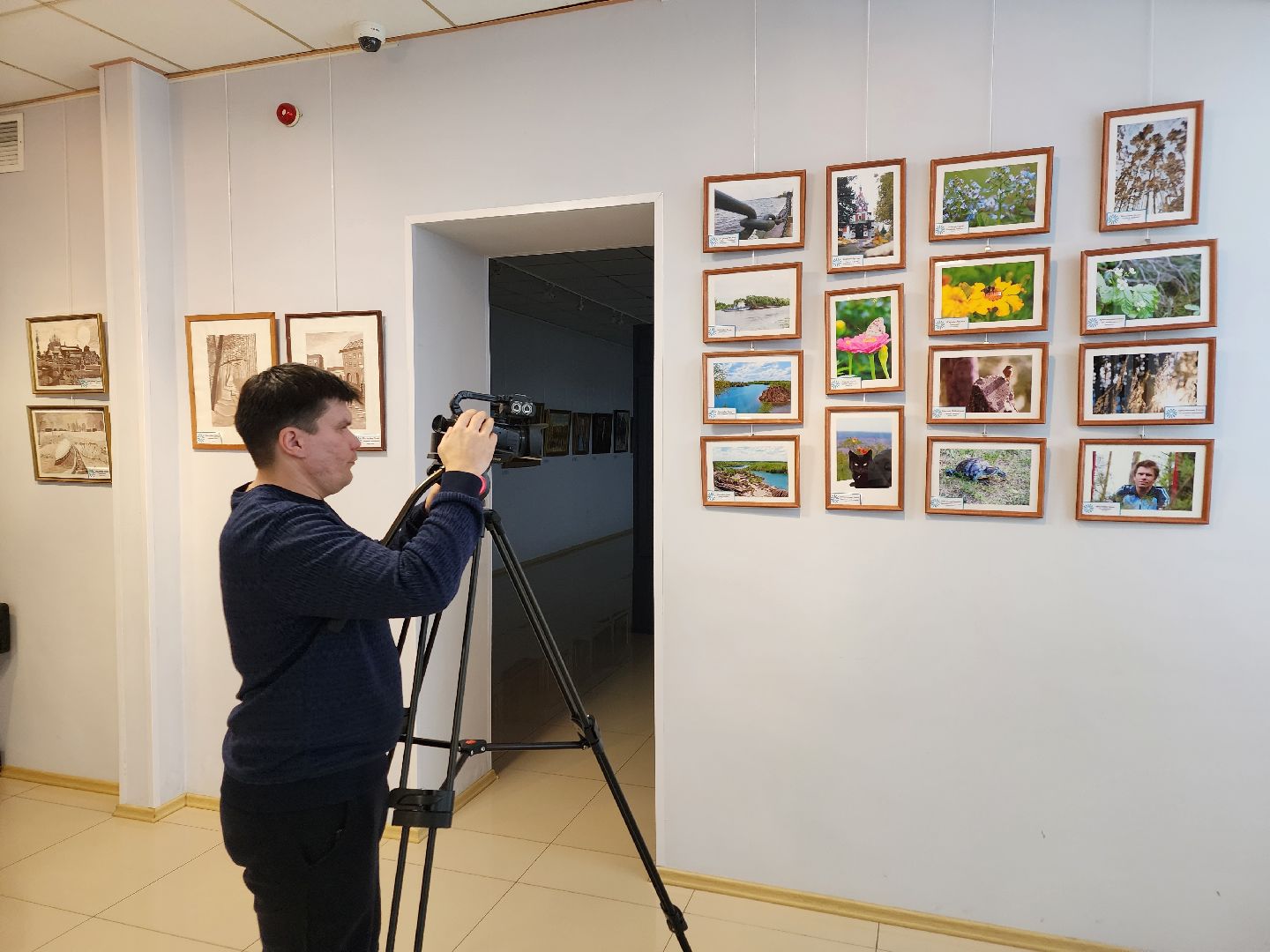 ступино, галерея ника, день инвалида,международный день инвалидов,