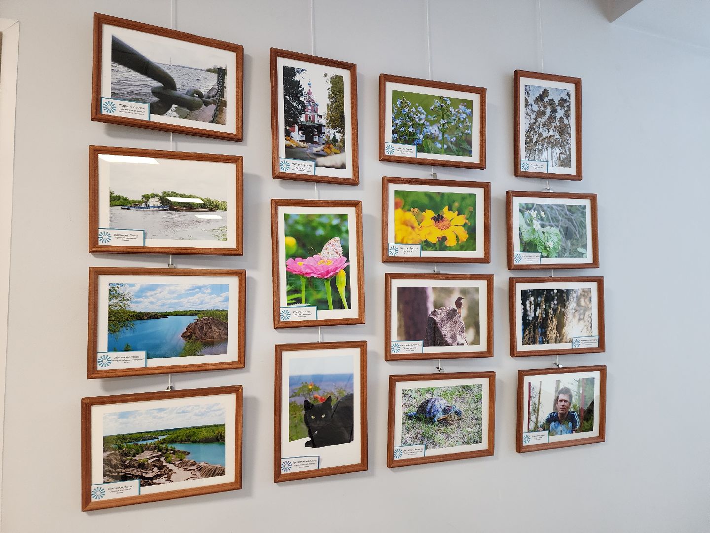 ступино, галерея ника, день инвалида,международный день инвалидов,