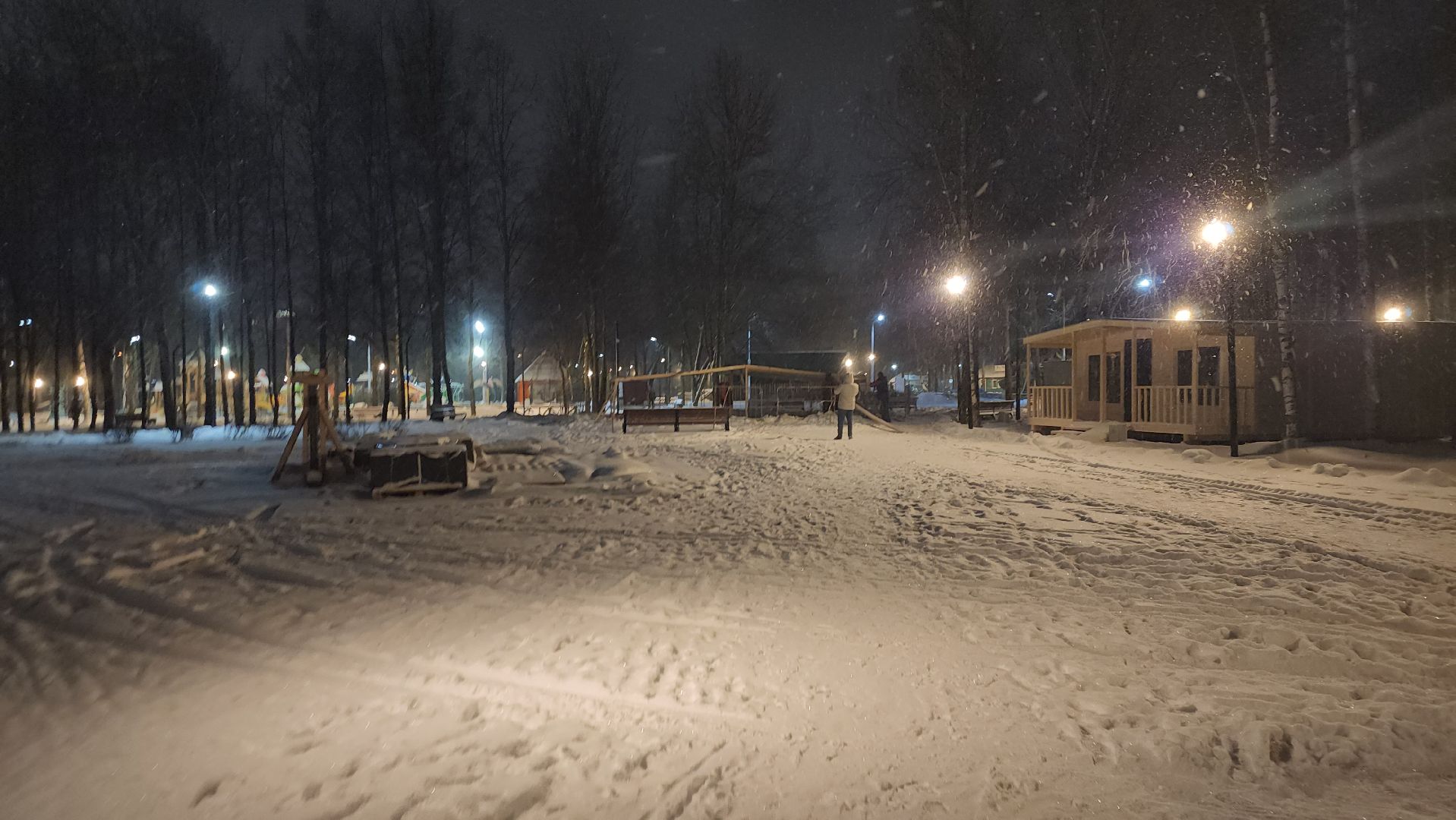 долгопрудный, парки, зима в подмосковье, зимовка фонтанов, Шоу Ильи Авербуха,
