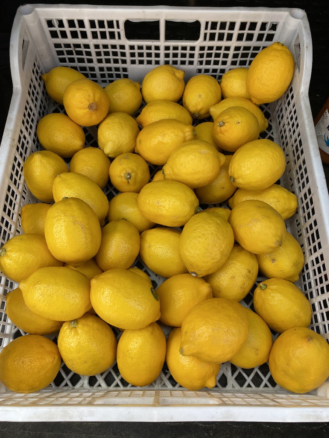 Спецоперация, Чехов, гуманитарная помощь