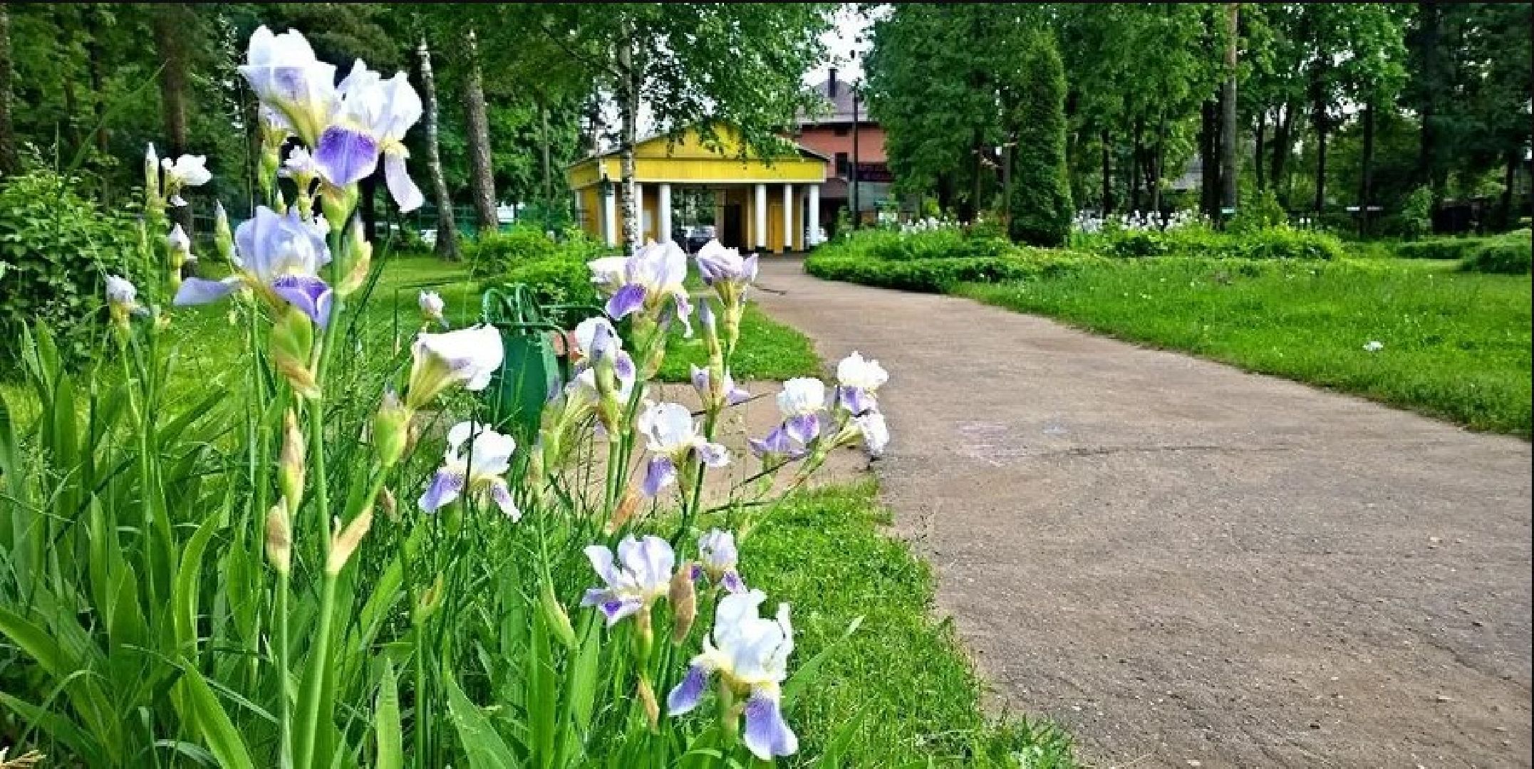Люберцы, малаховка, парки подмосковья,