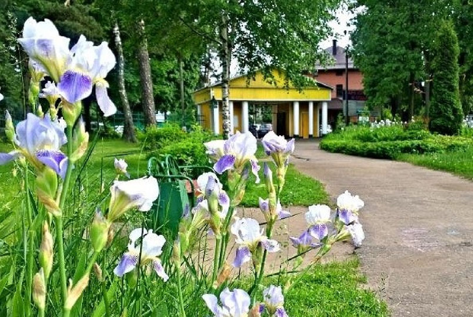 Люберцы, малаховка, парки подмосковья,