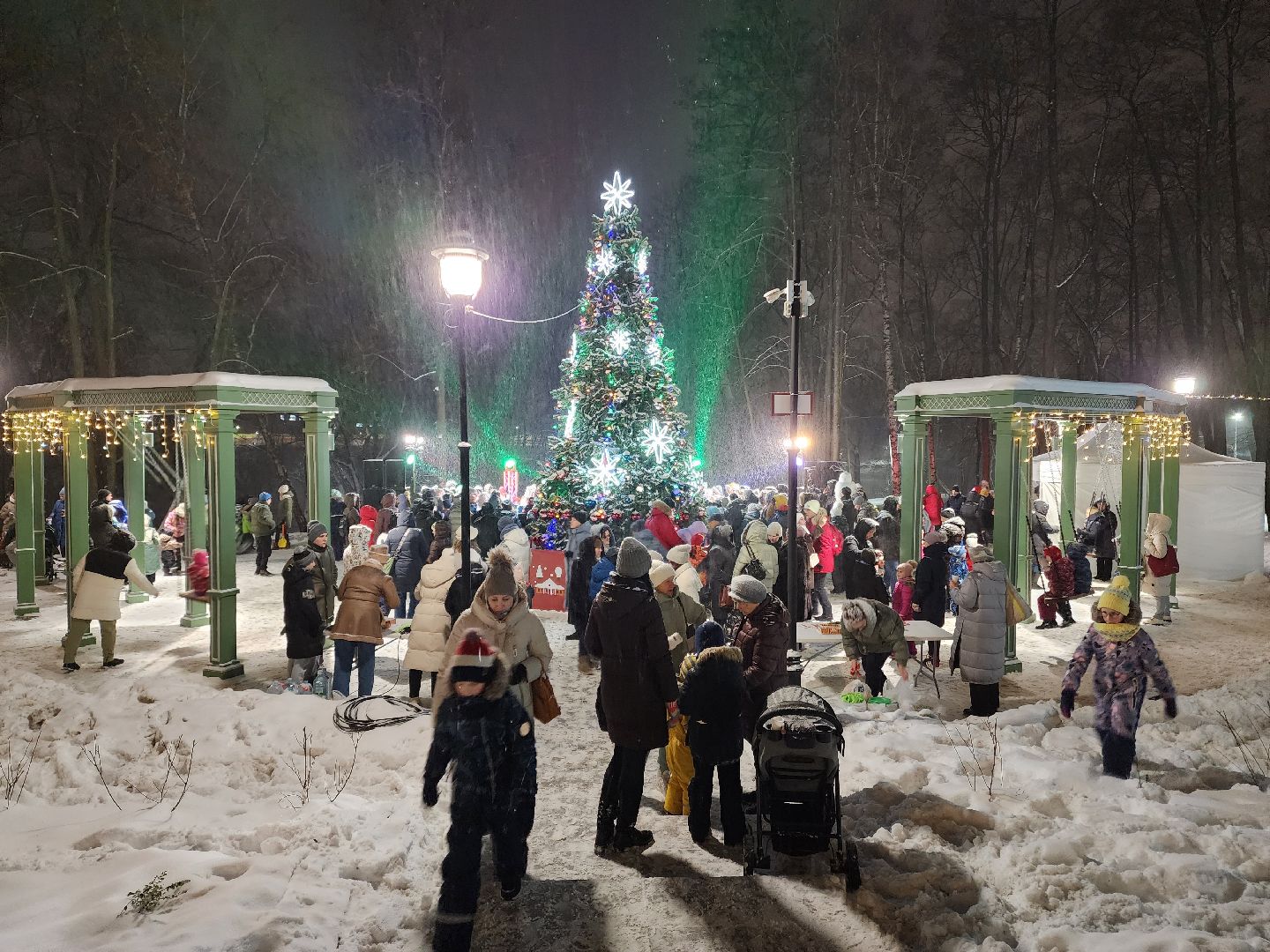 раменское, культура, раменский городской парк, резиденция деда мороза,