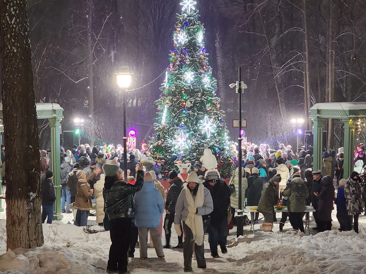 раменское, культура, раменский городской парк, резиденция деда мороза,