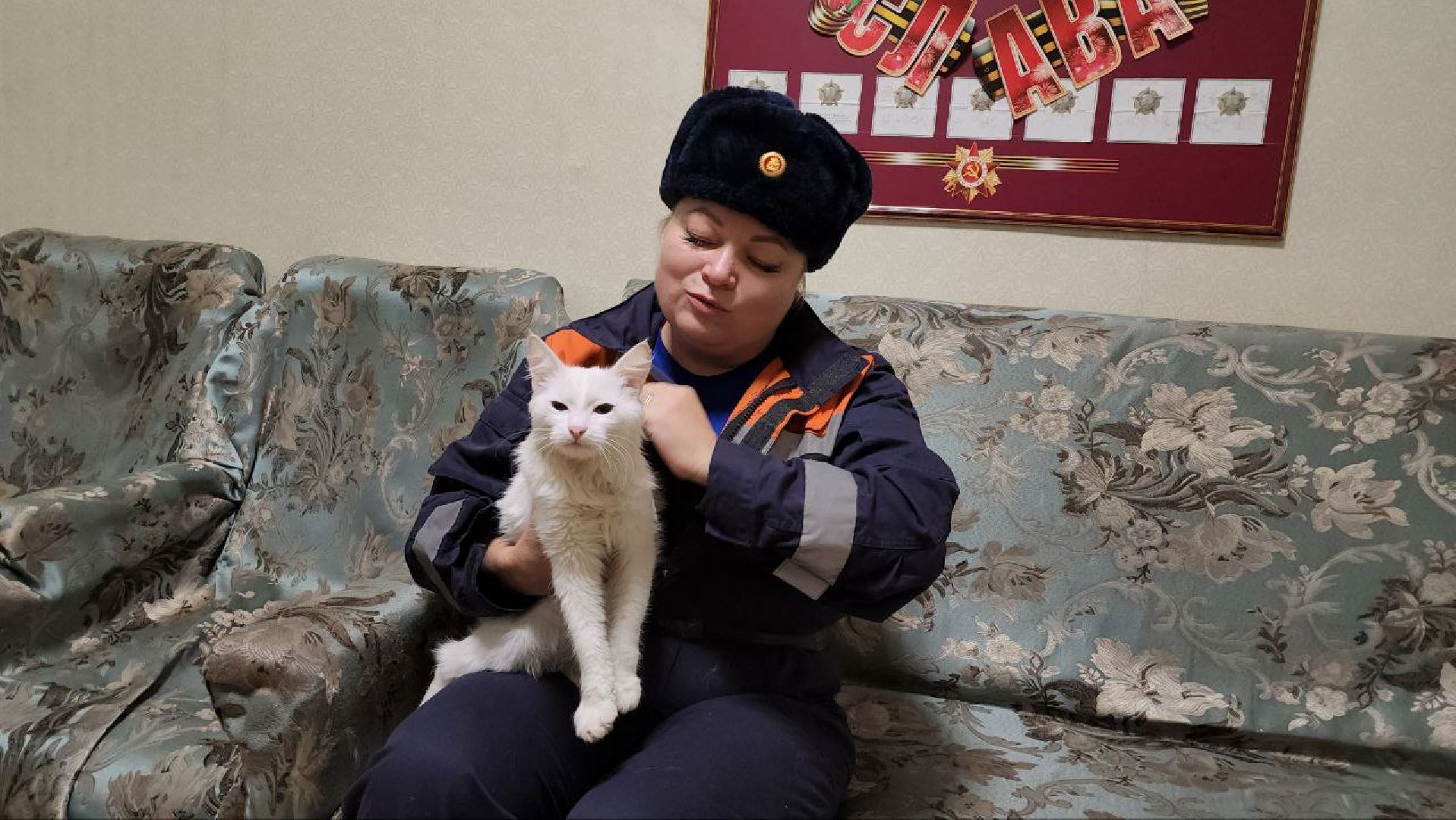 можайск, можайский городской округ, подмосковье, спасатели, Мособлпожспас, мособлпожспас, спасение животных, кот, жители, домашние животные,