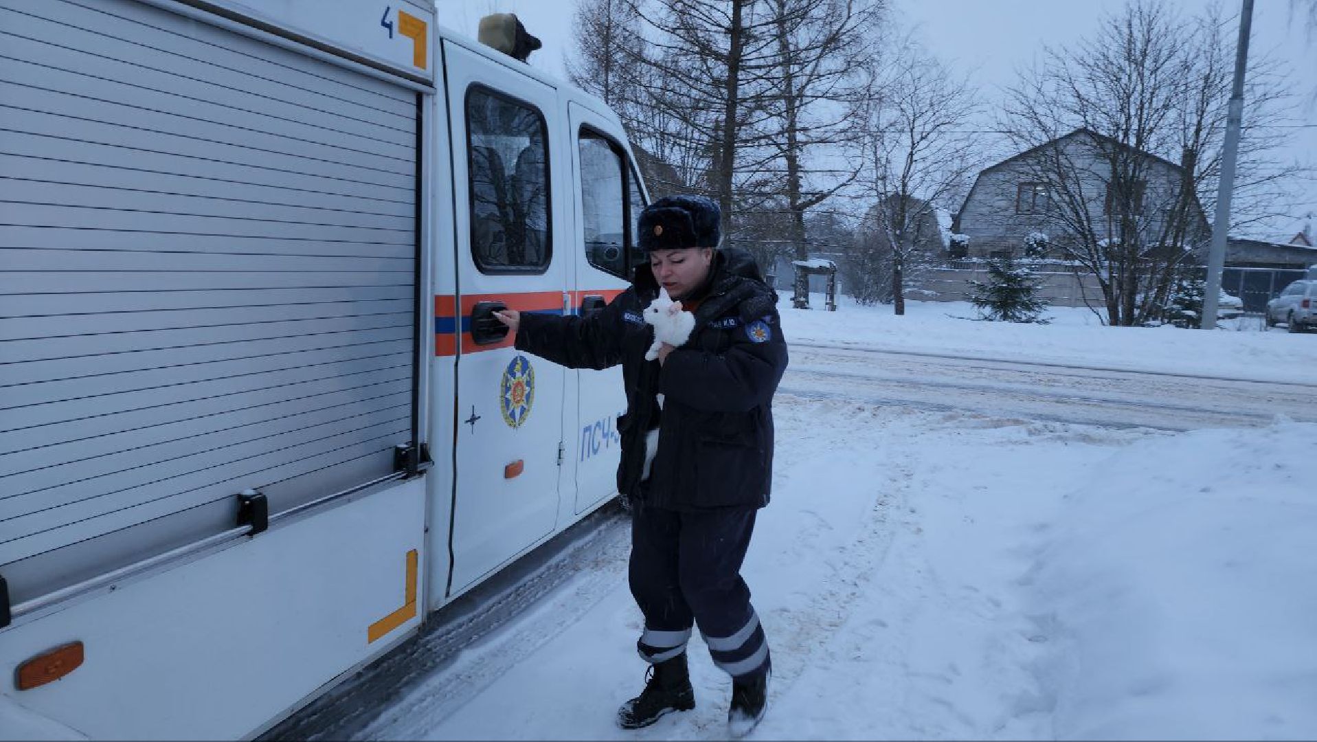 можайск, можайский городской округ, подмосковье, спасатели, Мособлпожспас, мособлпожспас, спасение животных, кот, жители, домашние животные,