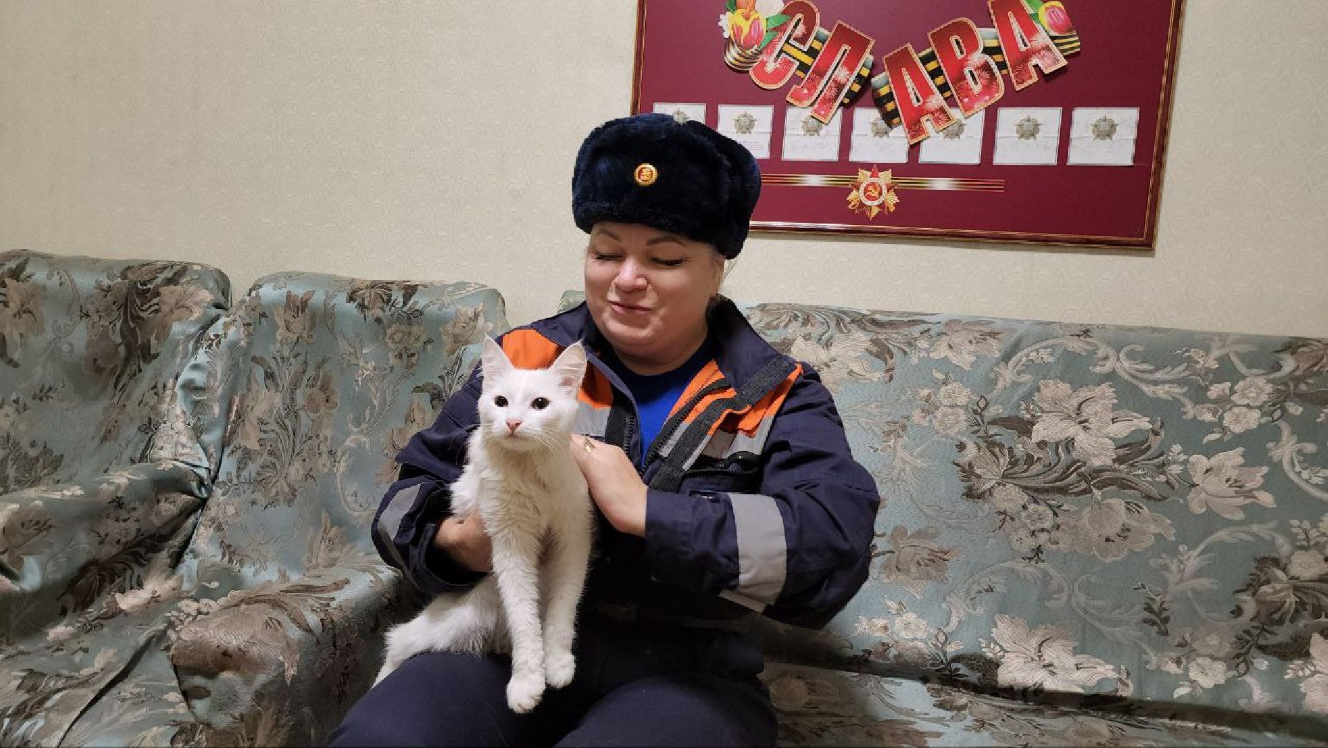 можайск, можайский городской округ, подмосковье, спасатели, Мособлпожспас, мособлпожспас, спасение животных, кот, жители, домашние животные,