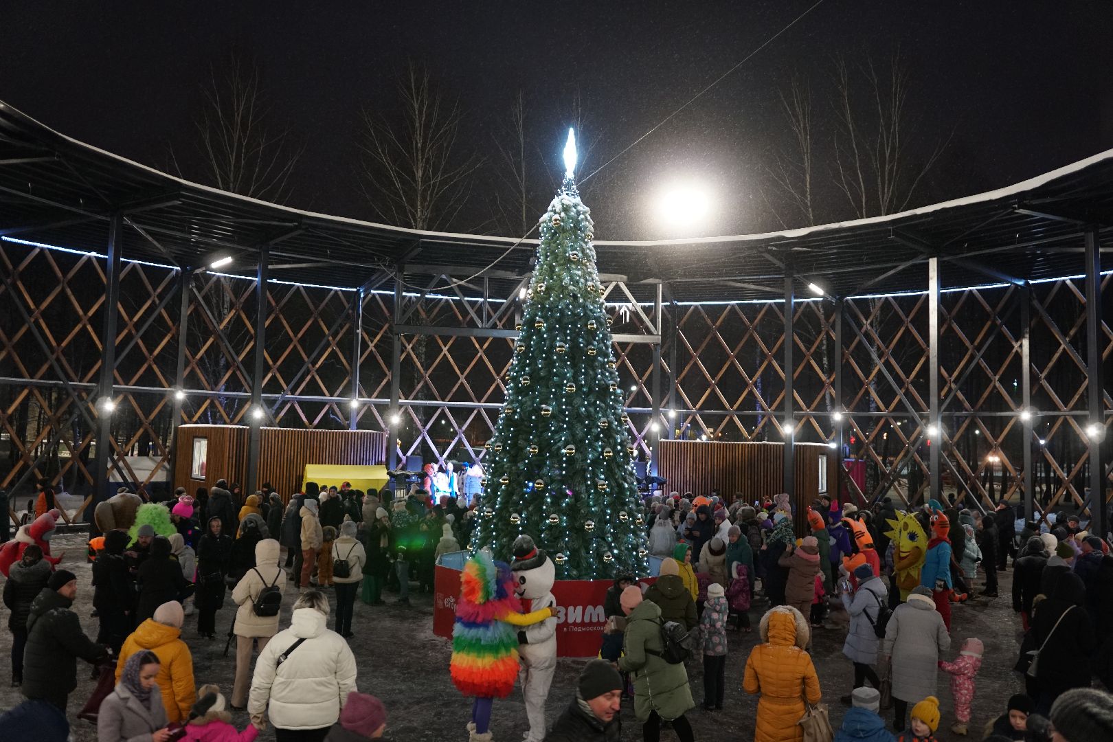 Егорьевск, Подмосковье, Новый год, оркестр, снеговики, оркестр снеговиков, новый год, праздник, елка,