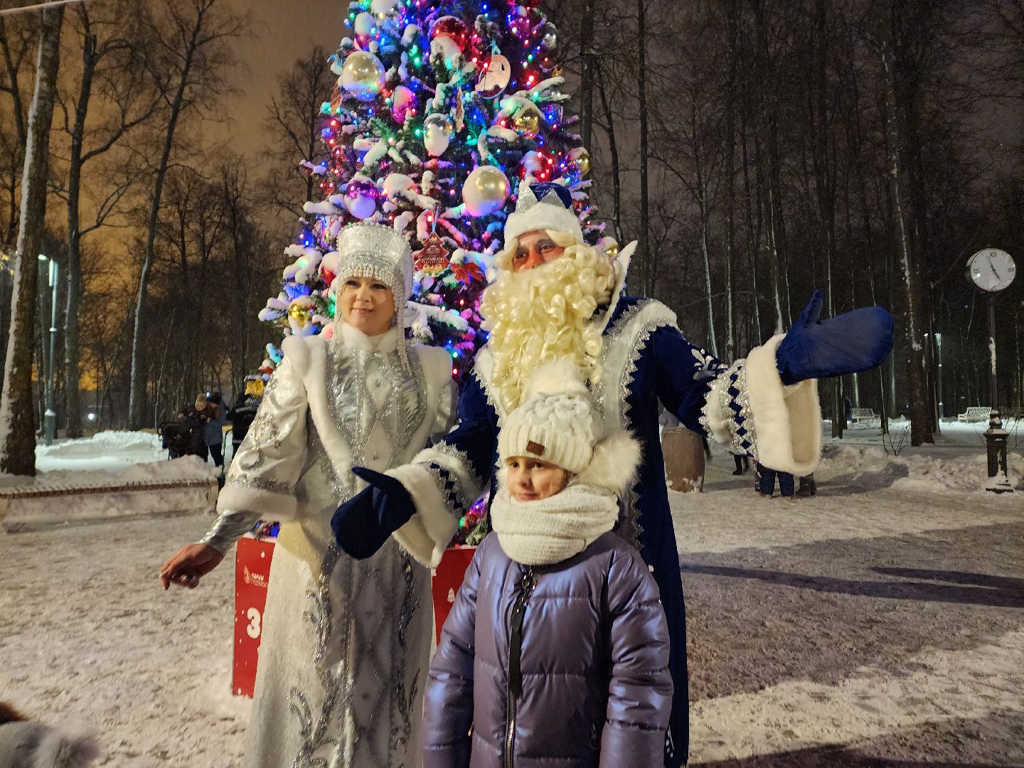 воскресенск, зима, зима в подмосковье, парки подмосковья, усадьба кривякино, зимний сезон,