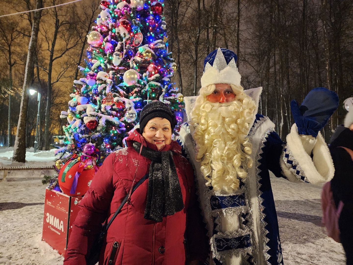 воскресенск, зима, зима в подмосковье, парки подмосковья, усадьба кривякино, зимний сезон,