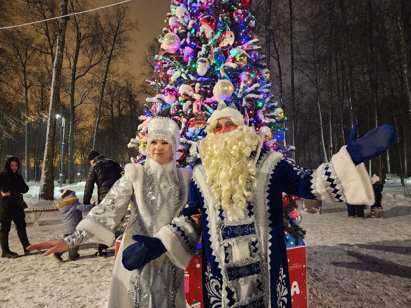 воскресенск, зима, зима в подмосковье, парки подмосковья, усадьба кривякино, зимний сезон,