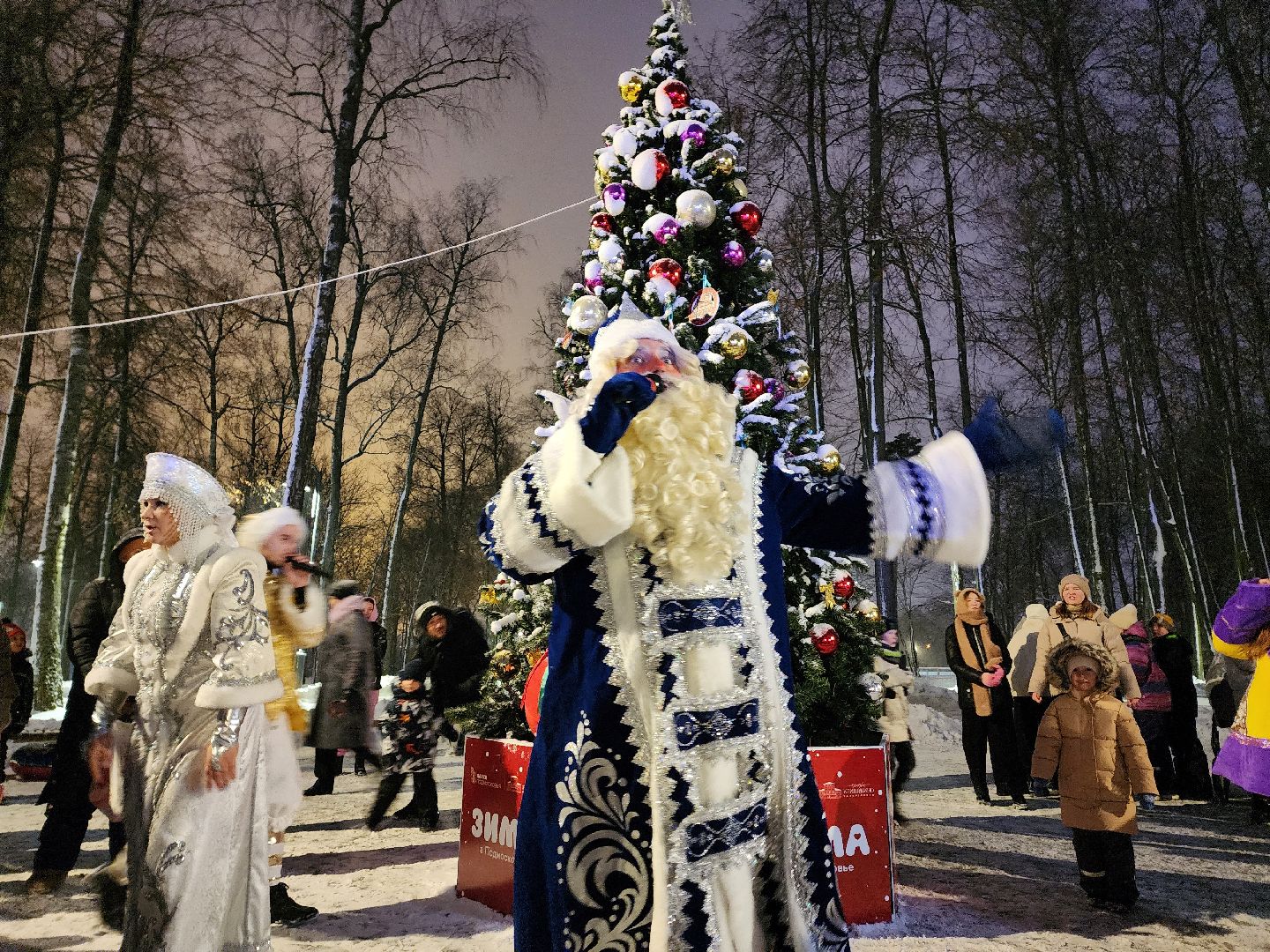 воскресенск, зима, зима в подмосковье, парки подмосковья, усадьба кривякино, зимний сезон,