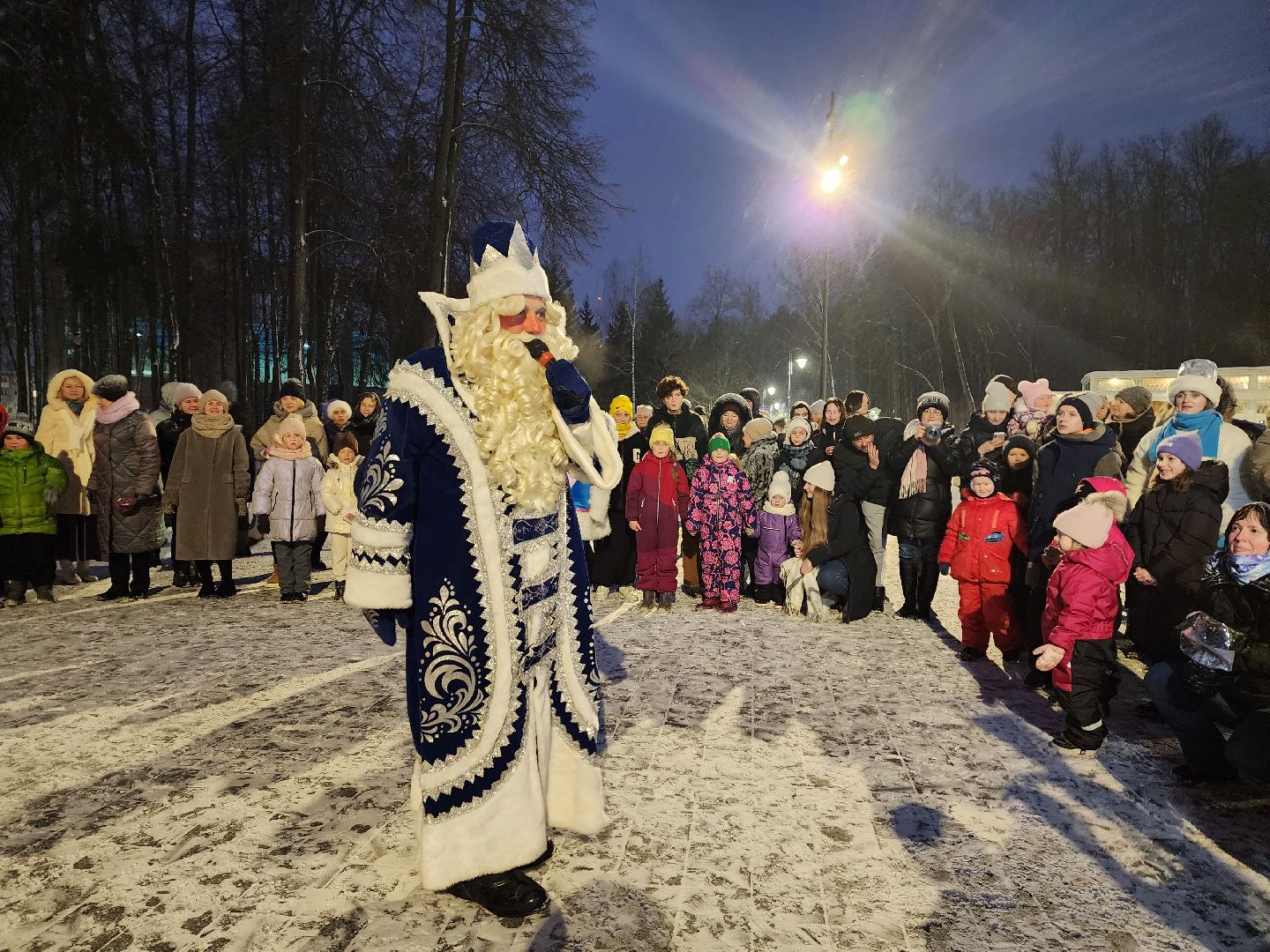 воскресенск, зима, зима в подмосковье, парки подмосковья, усадьба кривякино, зимний сезон,
