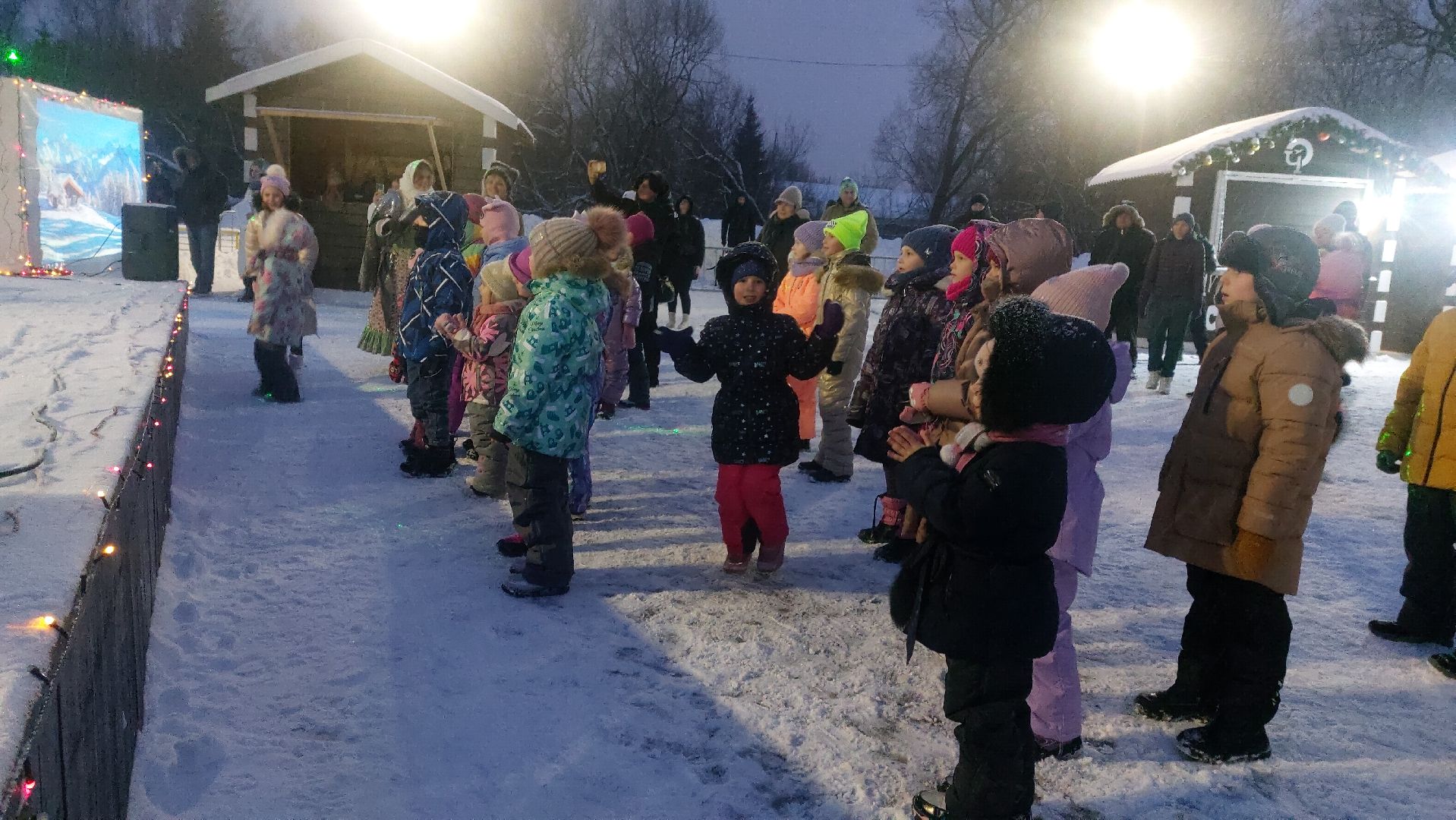 Культура, Городской парк, зима в подмосковье,