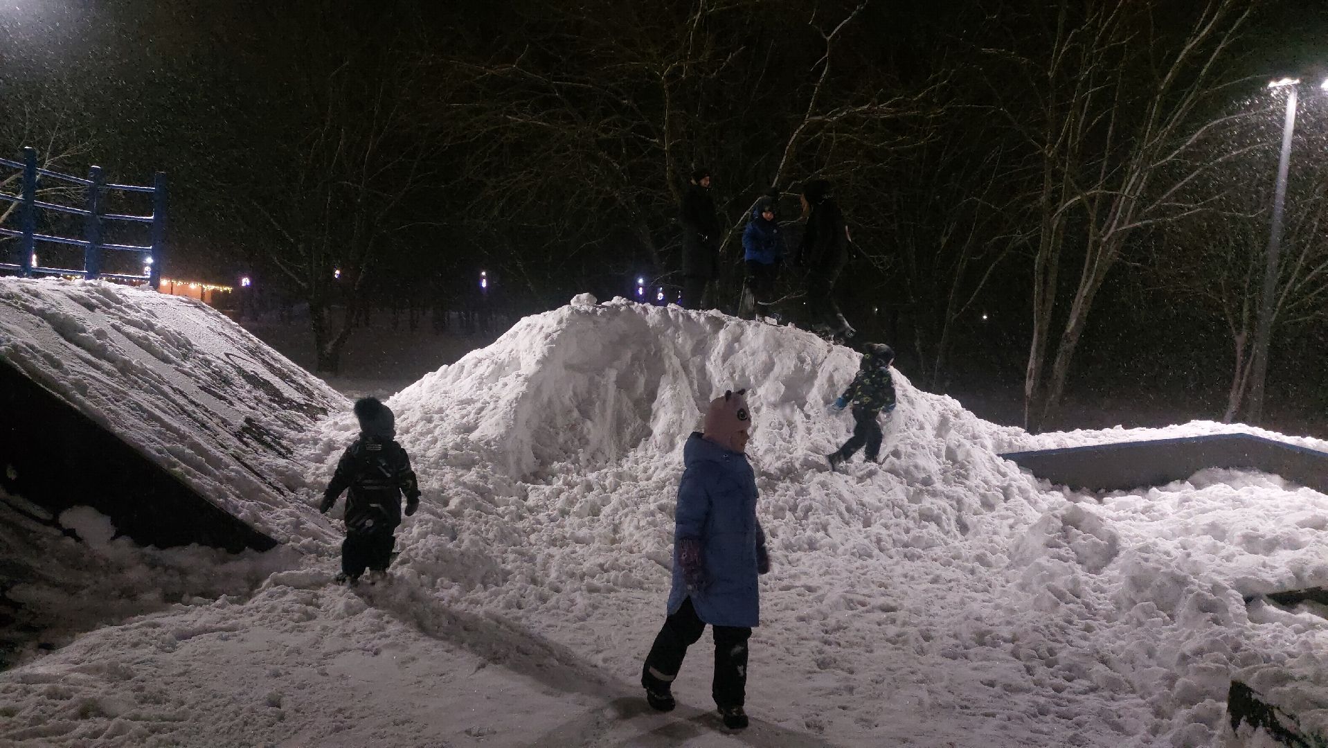 Культура, Городской парк, зима в подмосковье,